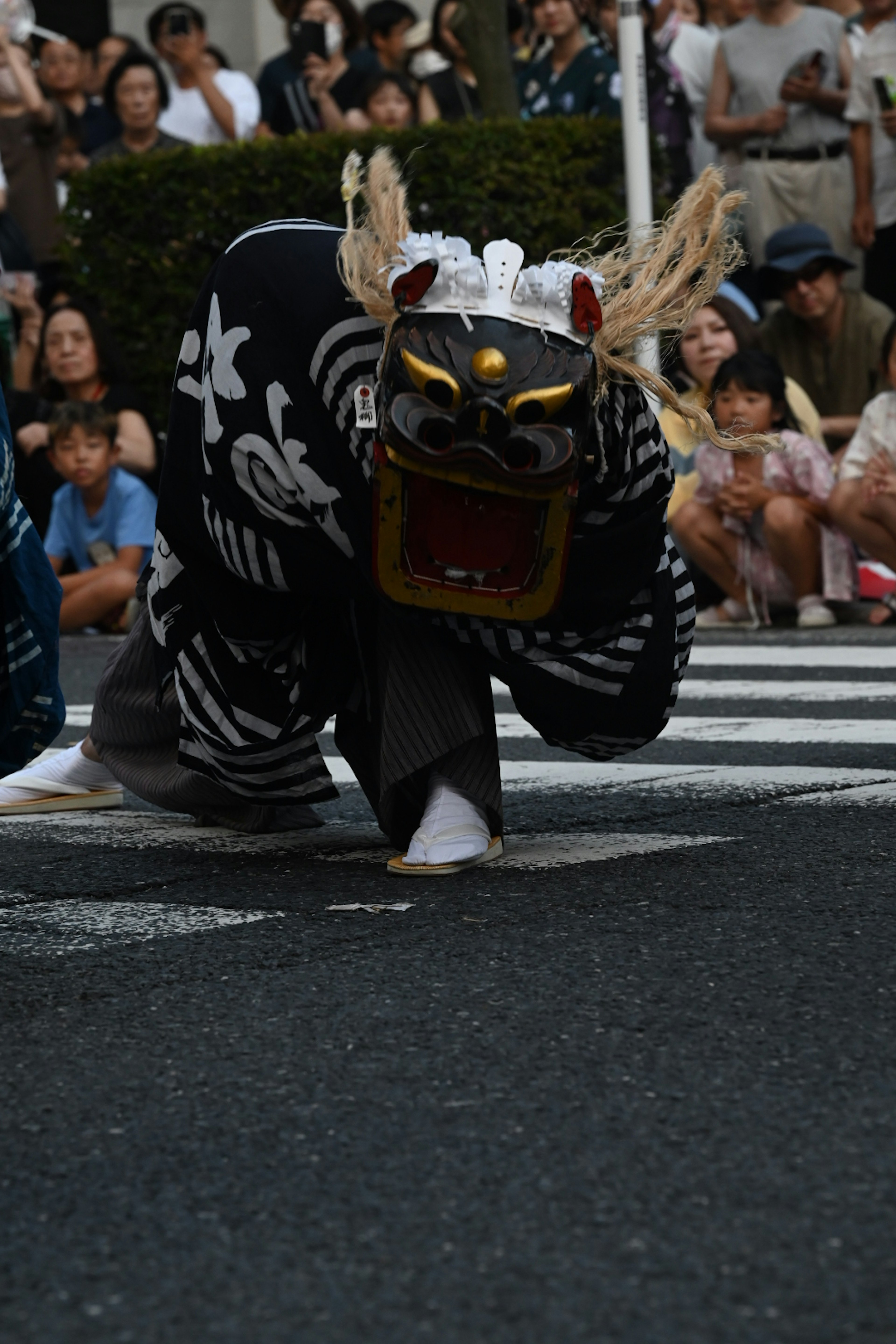 在節日中，穿著獅子舞服裝的表演者在街上爬行