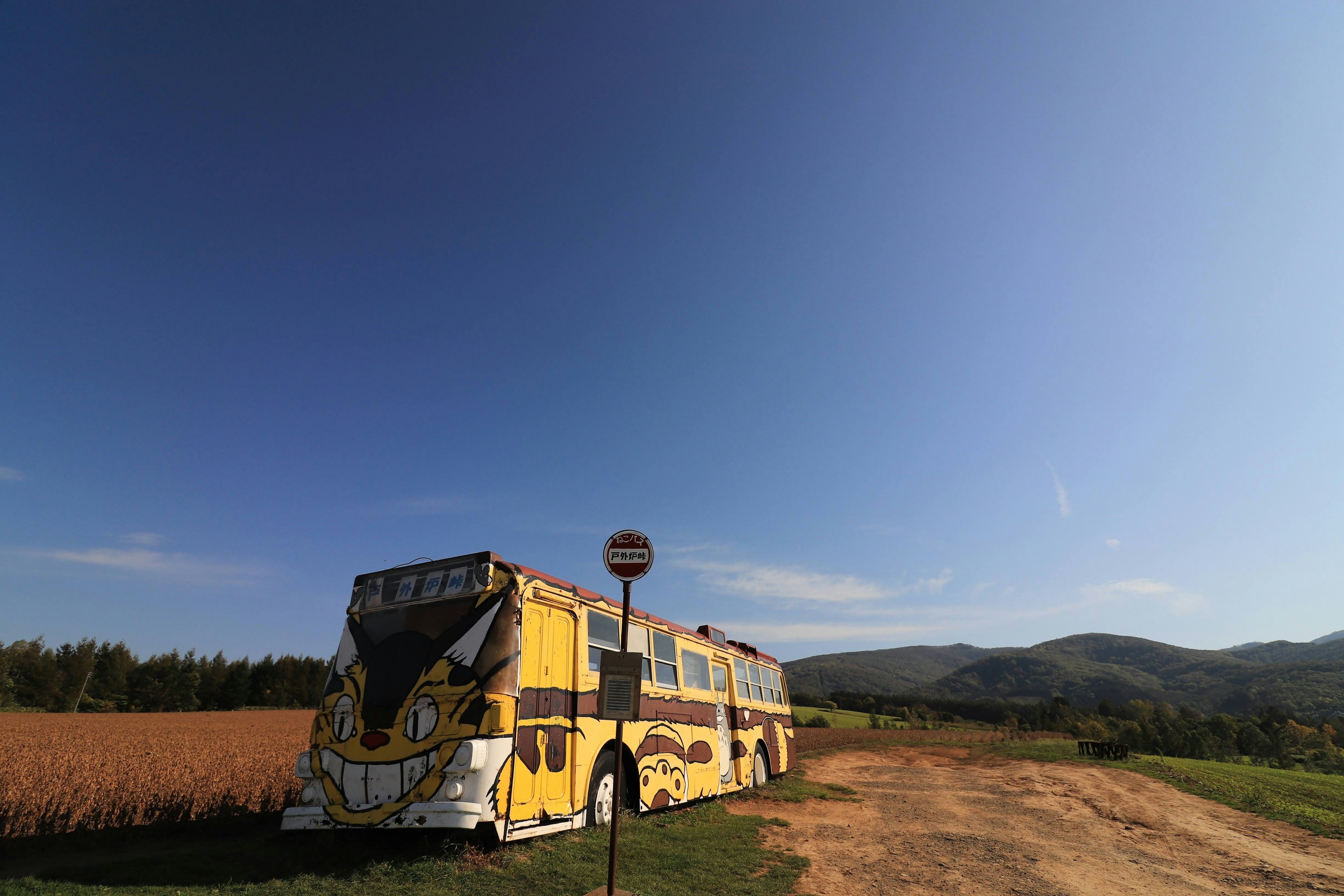 A yellow bus parked by a rural road with mountains in the background