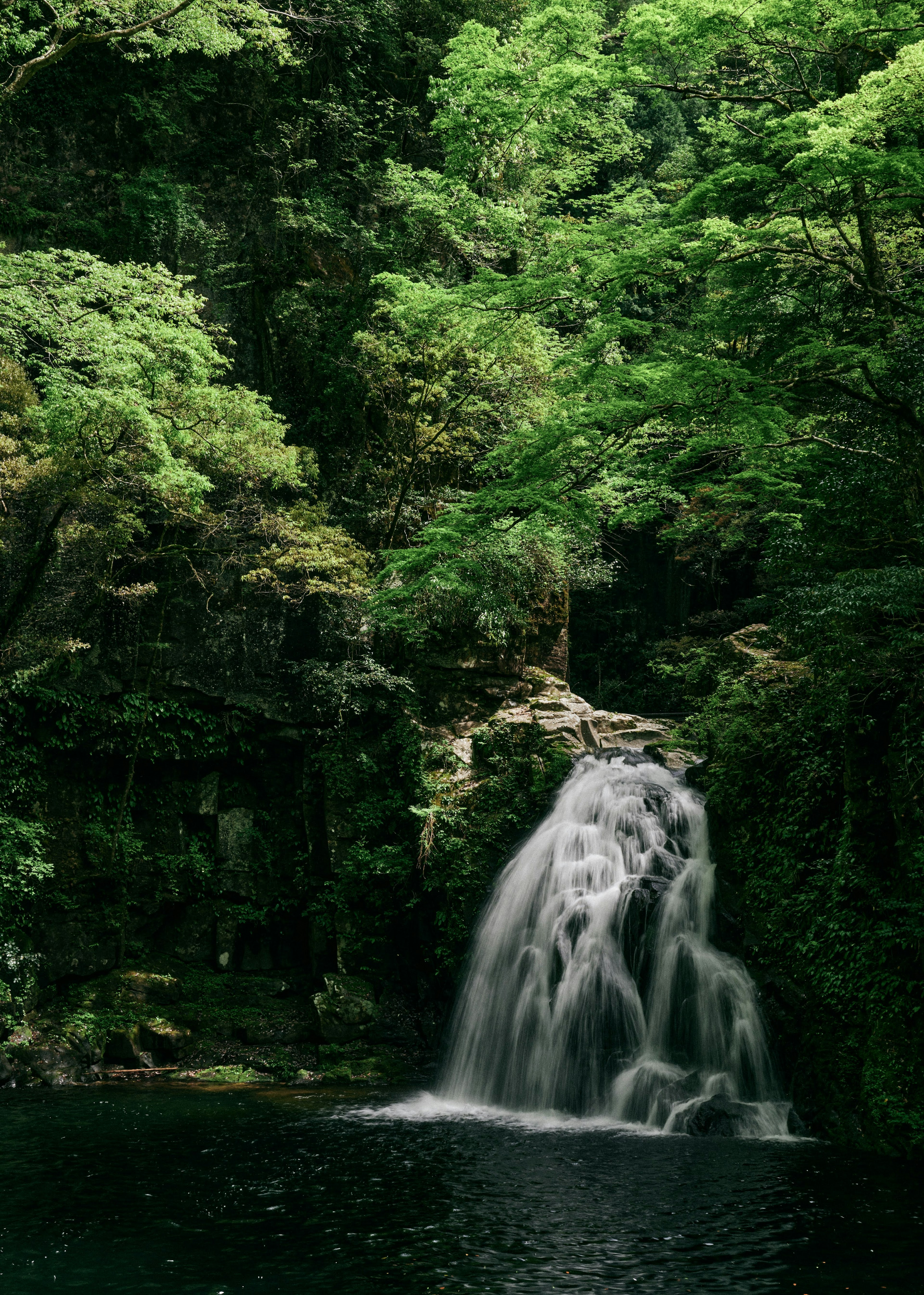 Ein schöner Wasserfall, der in einem üppigen grünen Wald fließt