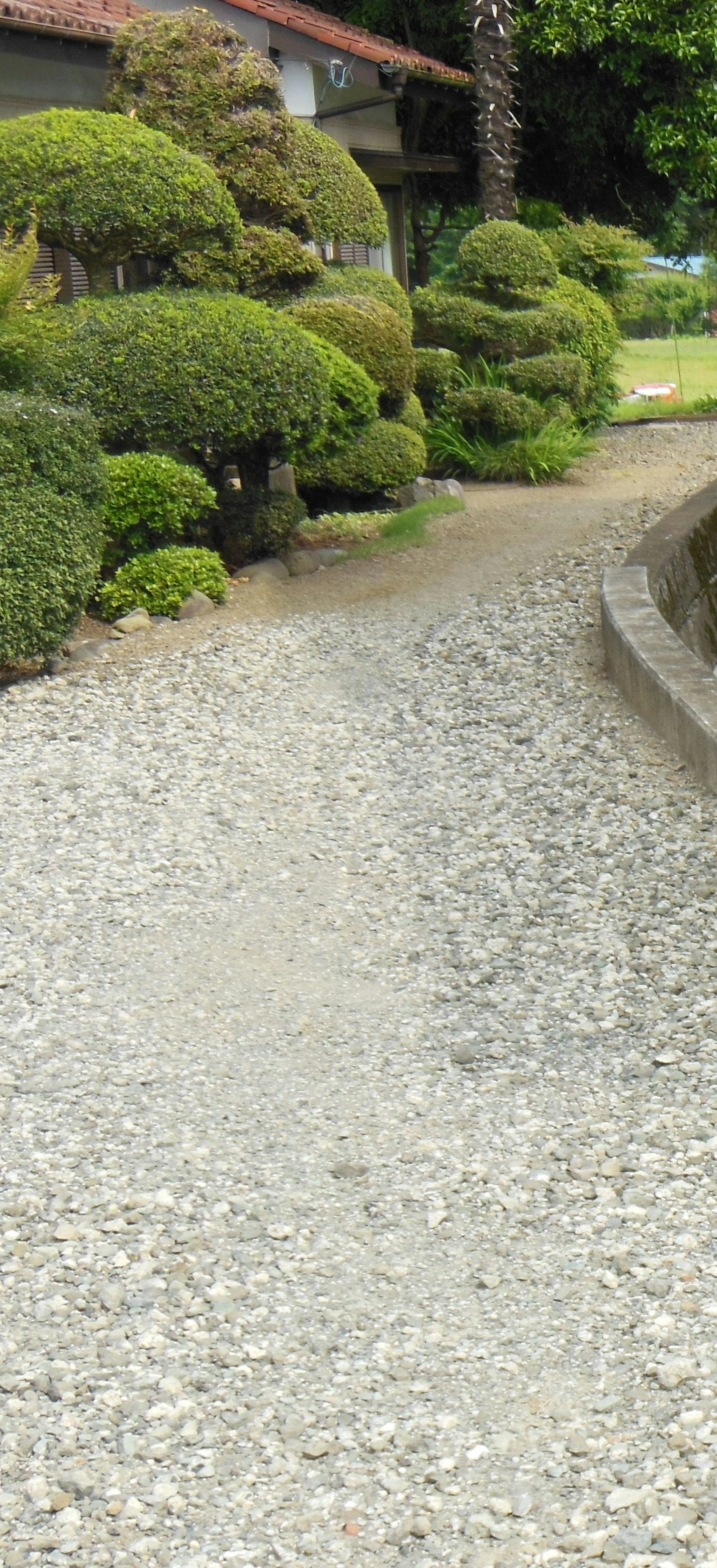 石で舗装された小道と緑豊かな庭の風景