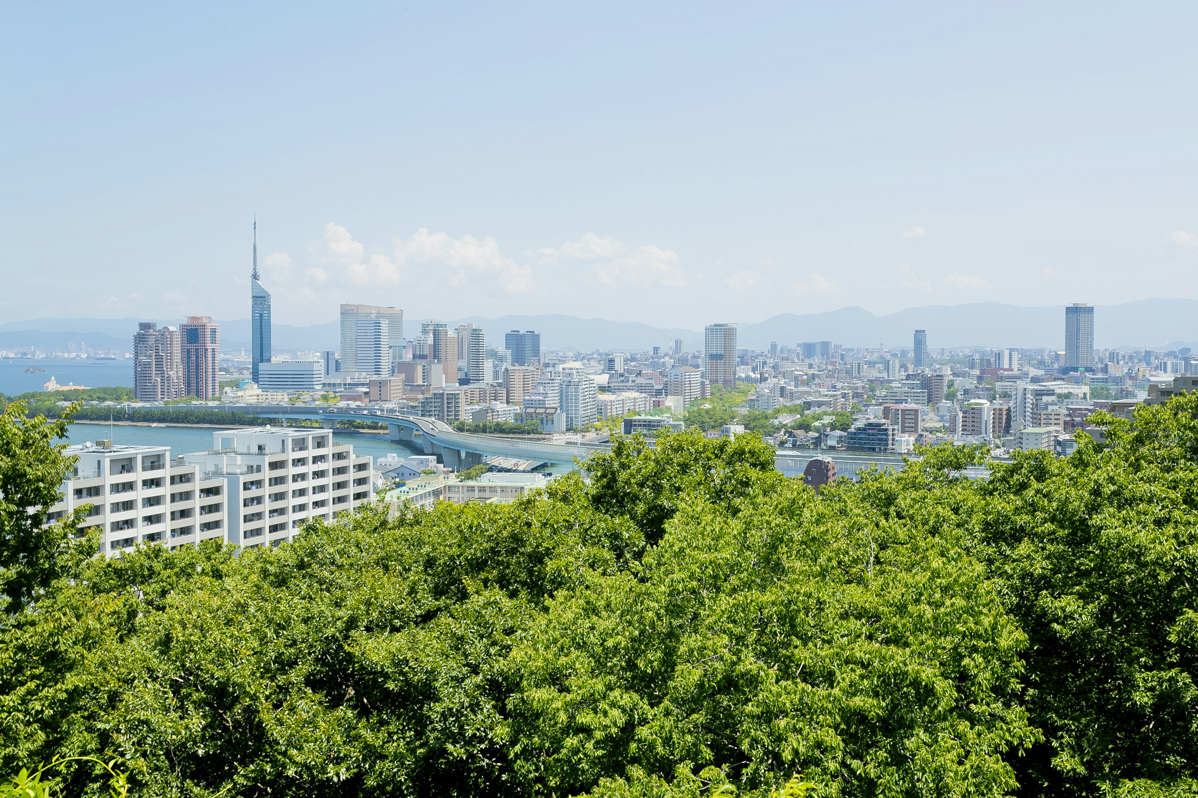 從綠色山丘俯瞰城市景觀，背景為東京晴空塔