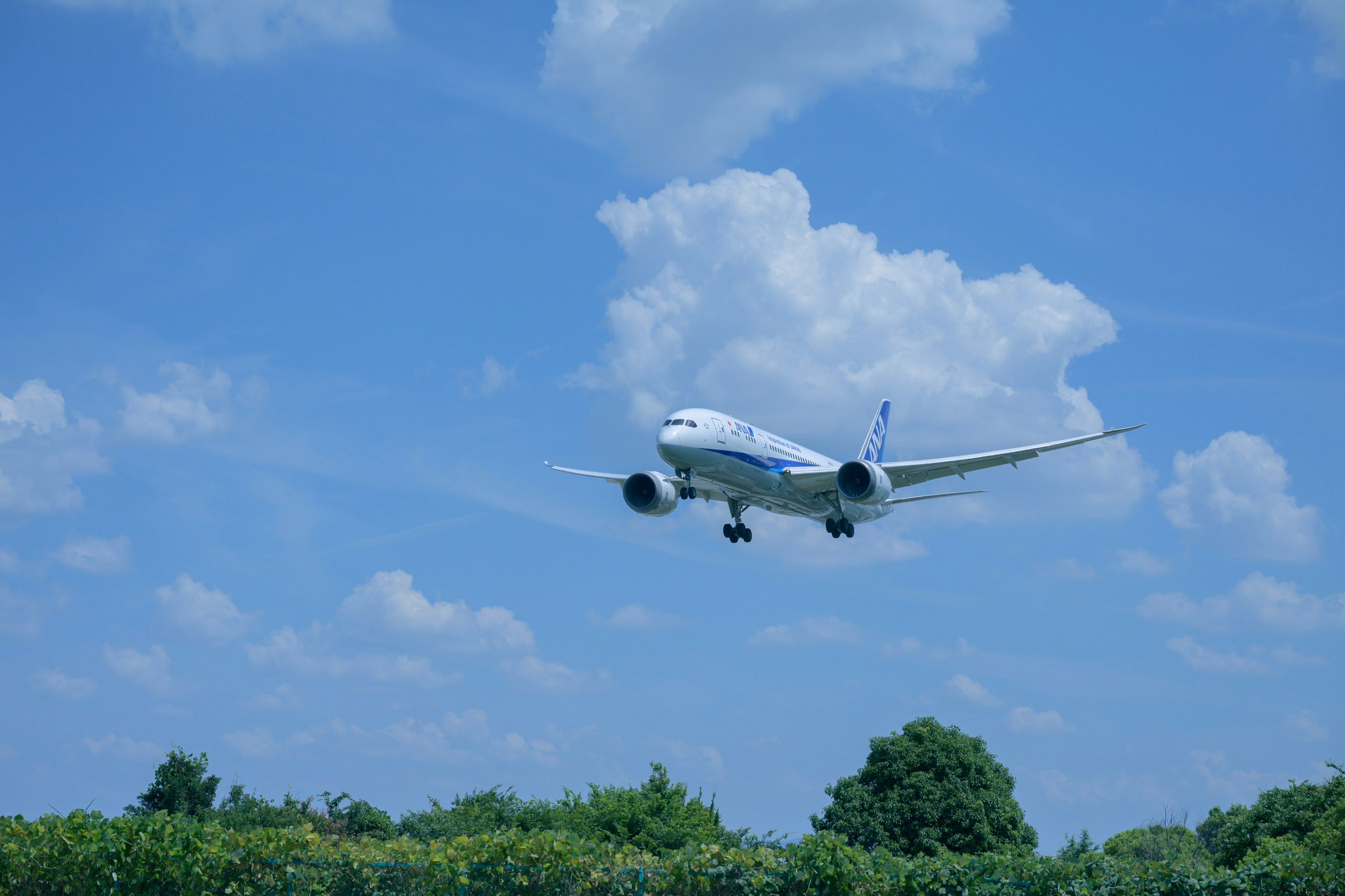 青空の中を飛行する旅客機と緑の木々