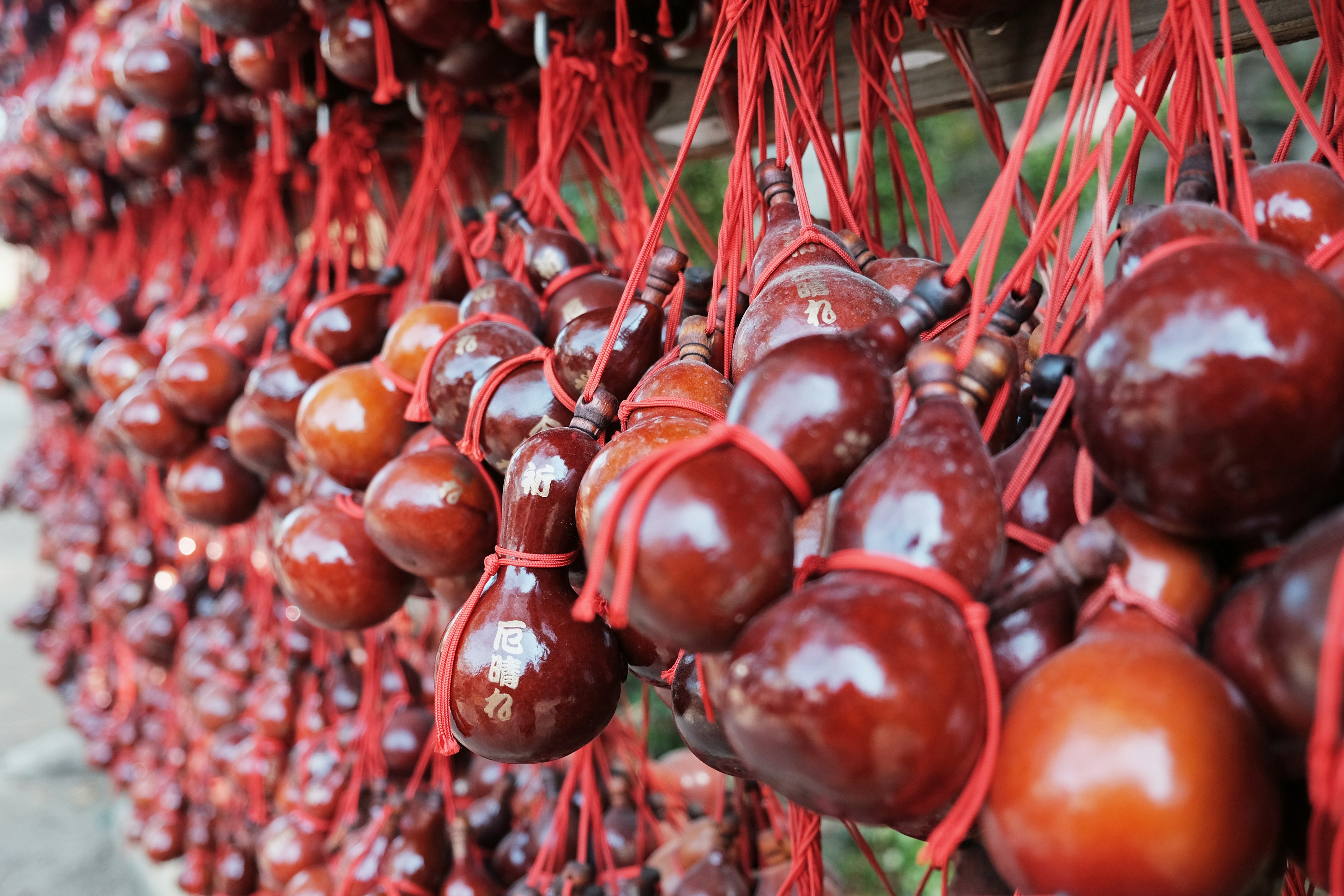 A collection of shiny brown chestnuts tied with red strings hanging together