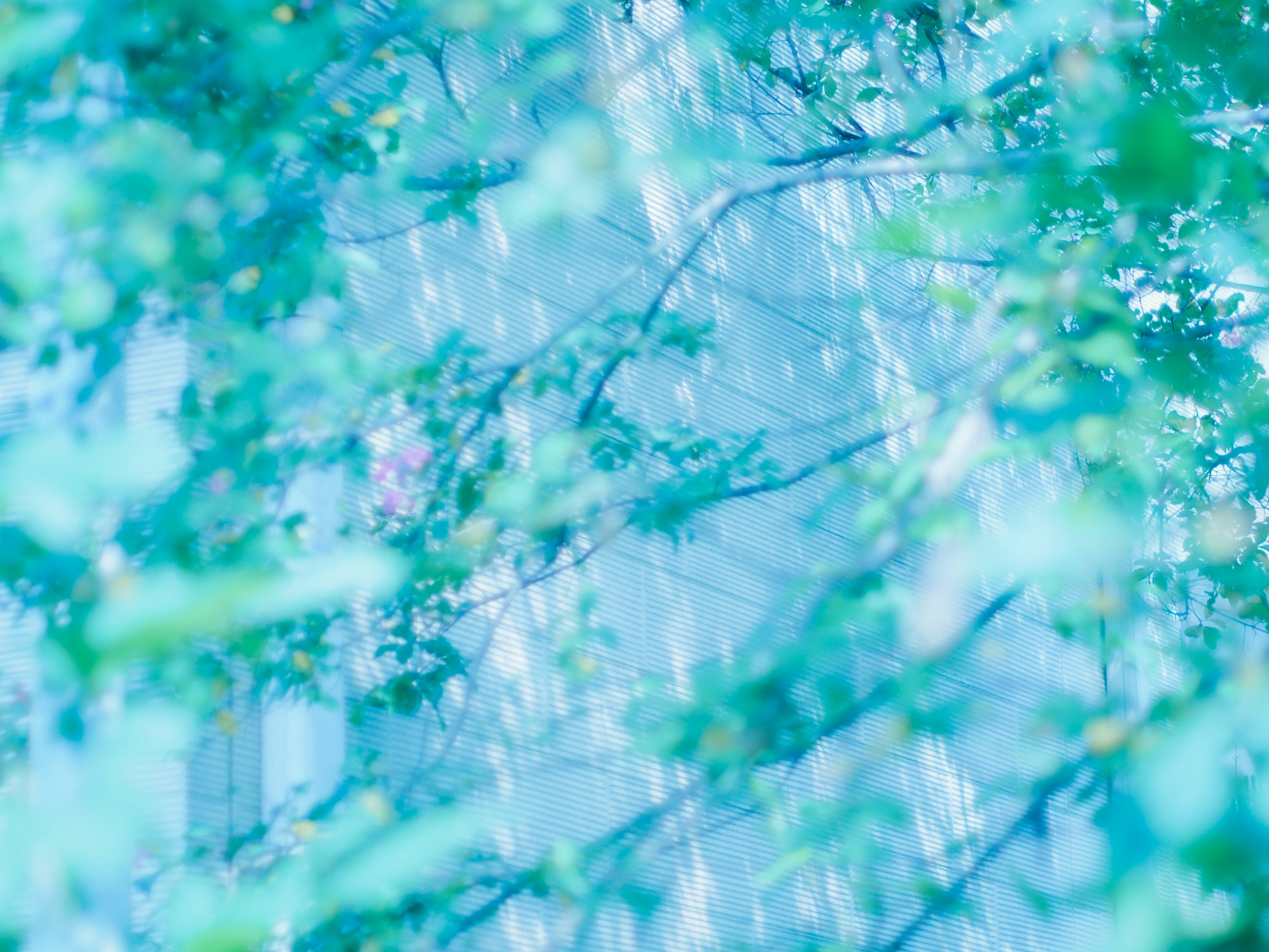 Fond doux avec des feuilles vibrantes aux tons bleus