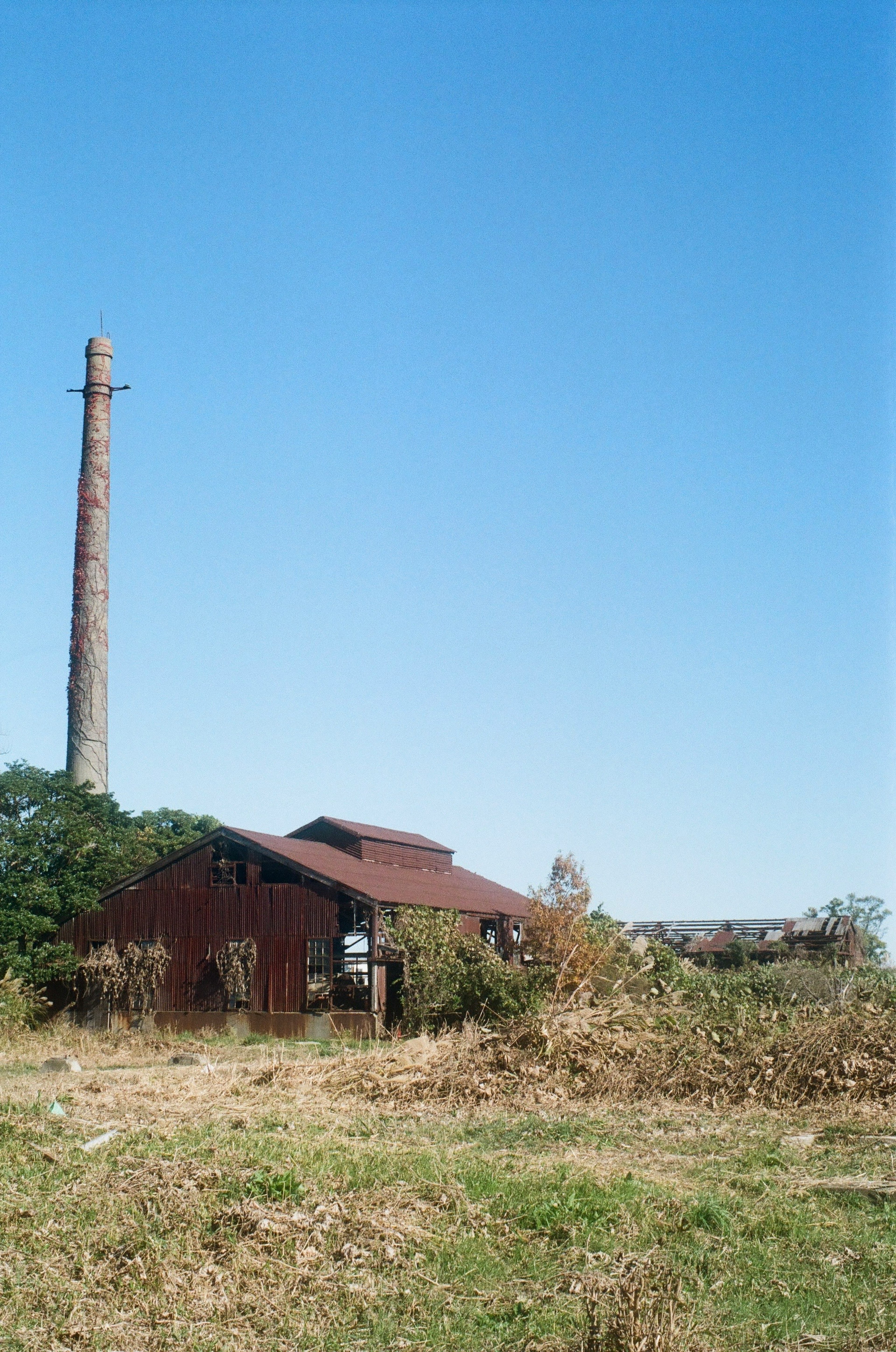 Immagine di una vecchia fabbrica con un camino sotto un cielo blu