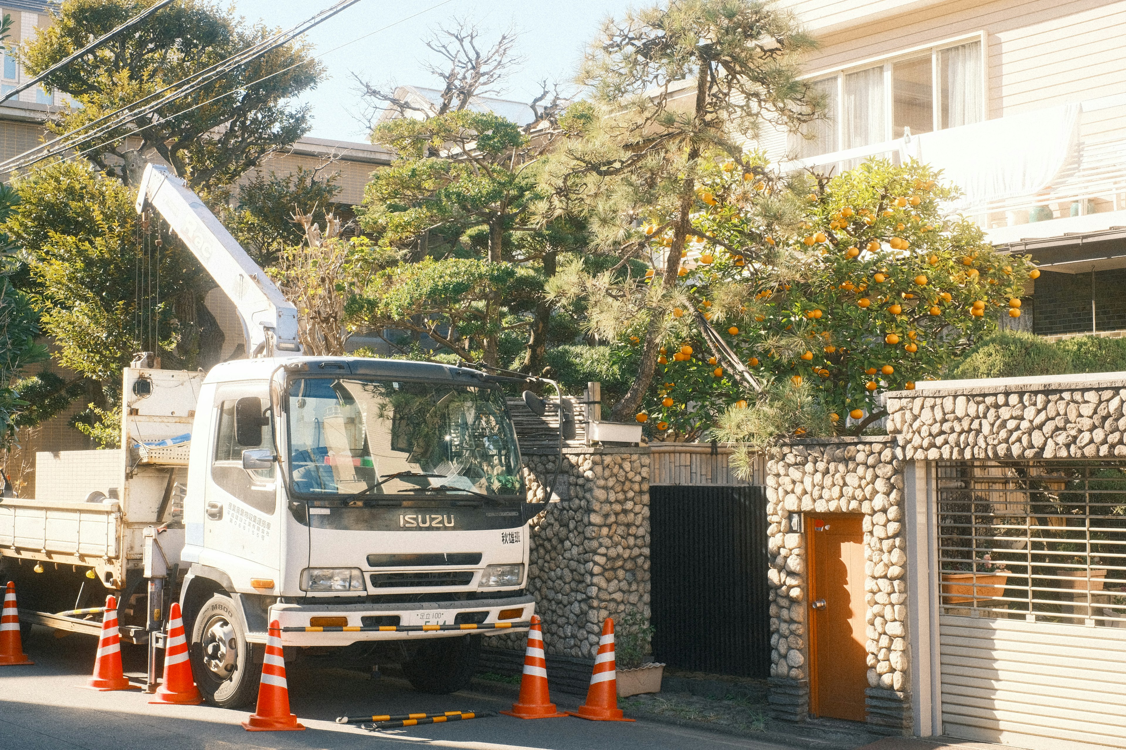 Un camion bianco parcheggiato per la potatura degli alberi con coni arancioni nelle vicinanze