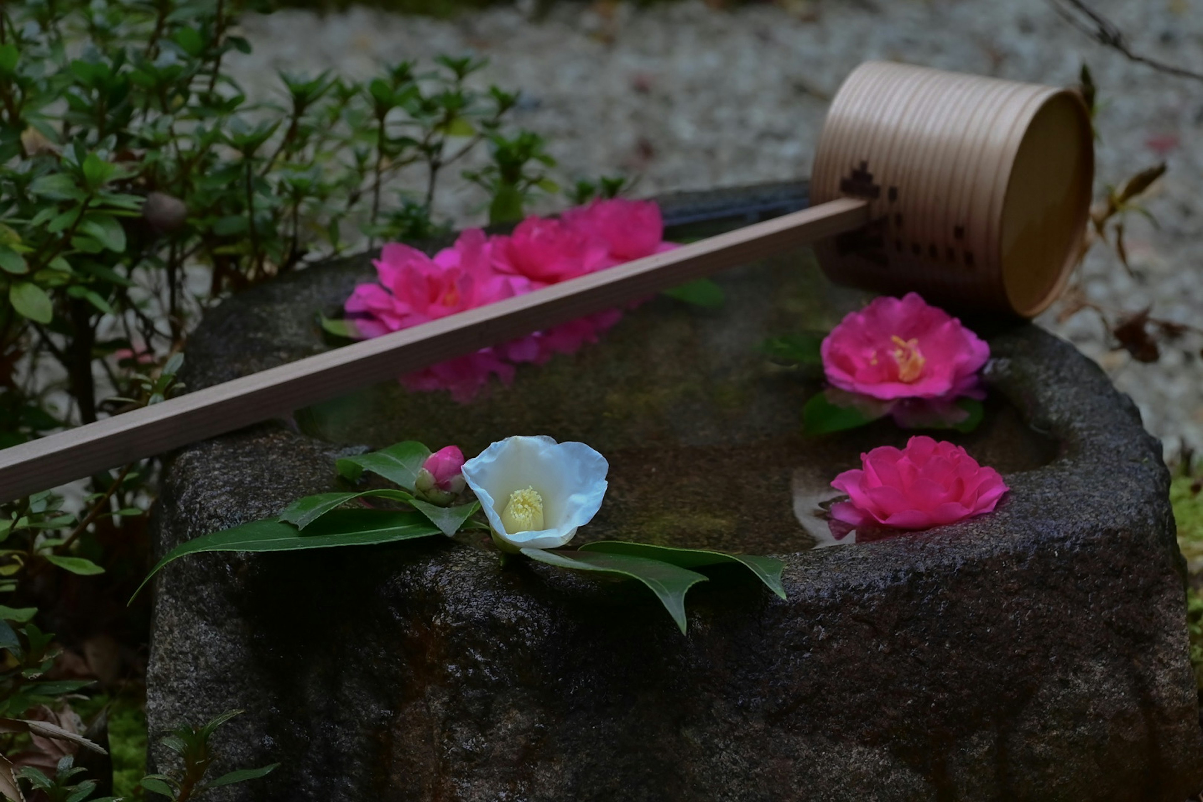 ฉากสวนญี่ปุ่นที่มีดอกไม้ลอยอยู่ในอ่างหินและช้อนต bamboo