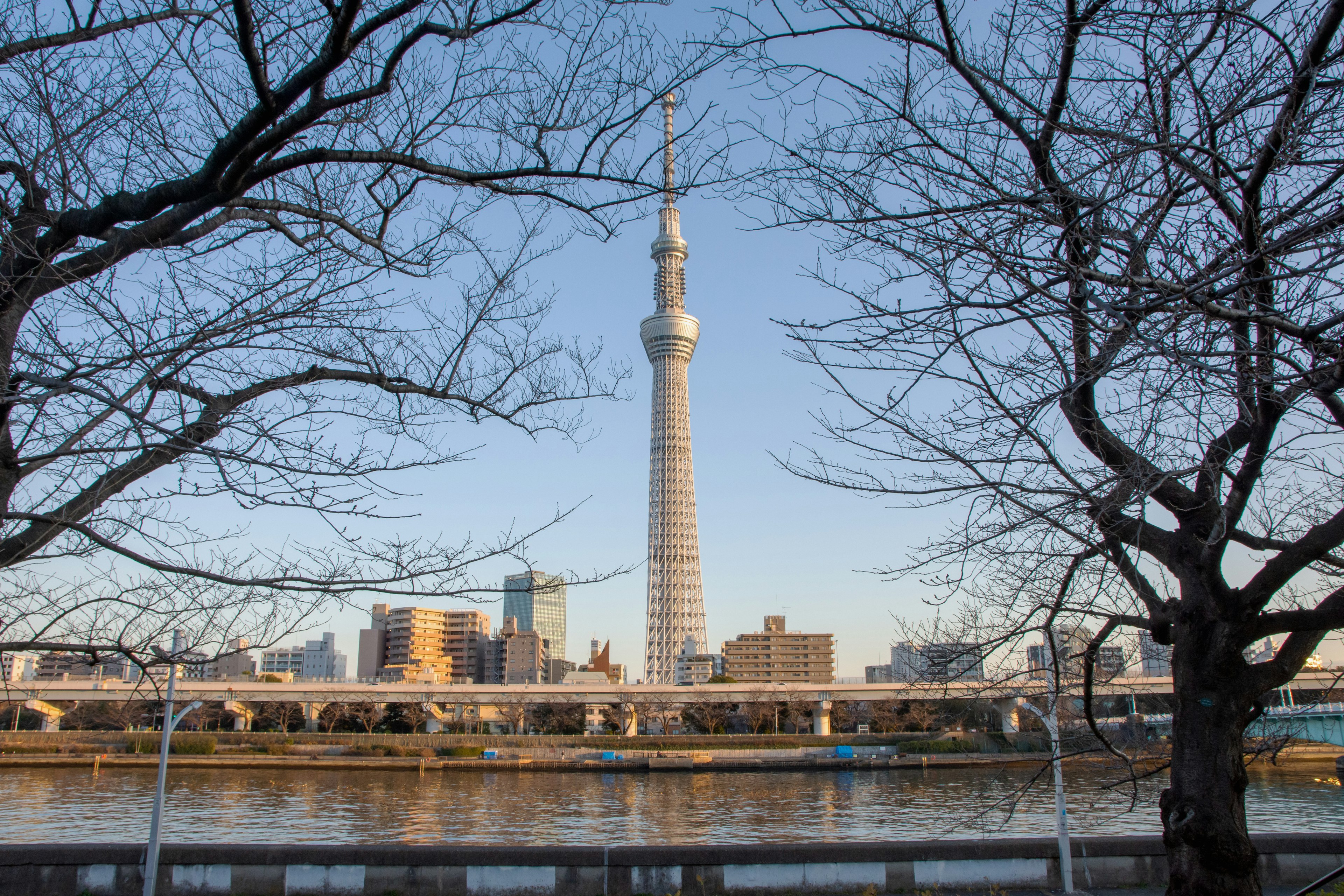 Blick auf die Tokyo Skytree am Fluss