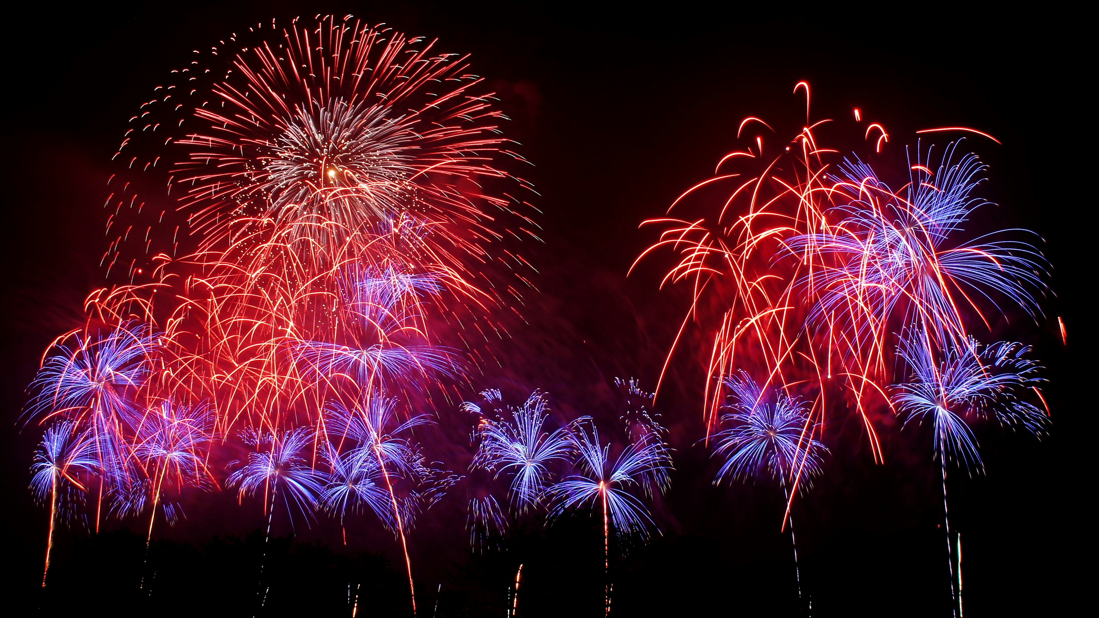 夜空に輝く赤と青の花火が盛大に打ち上げられている