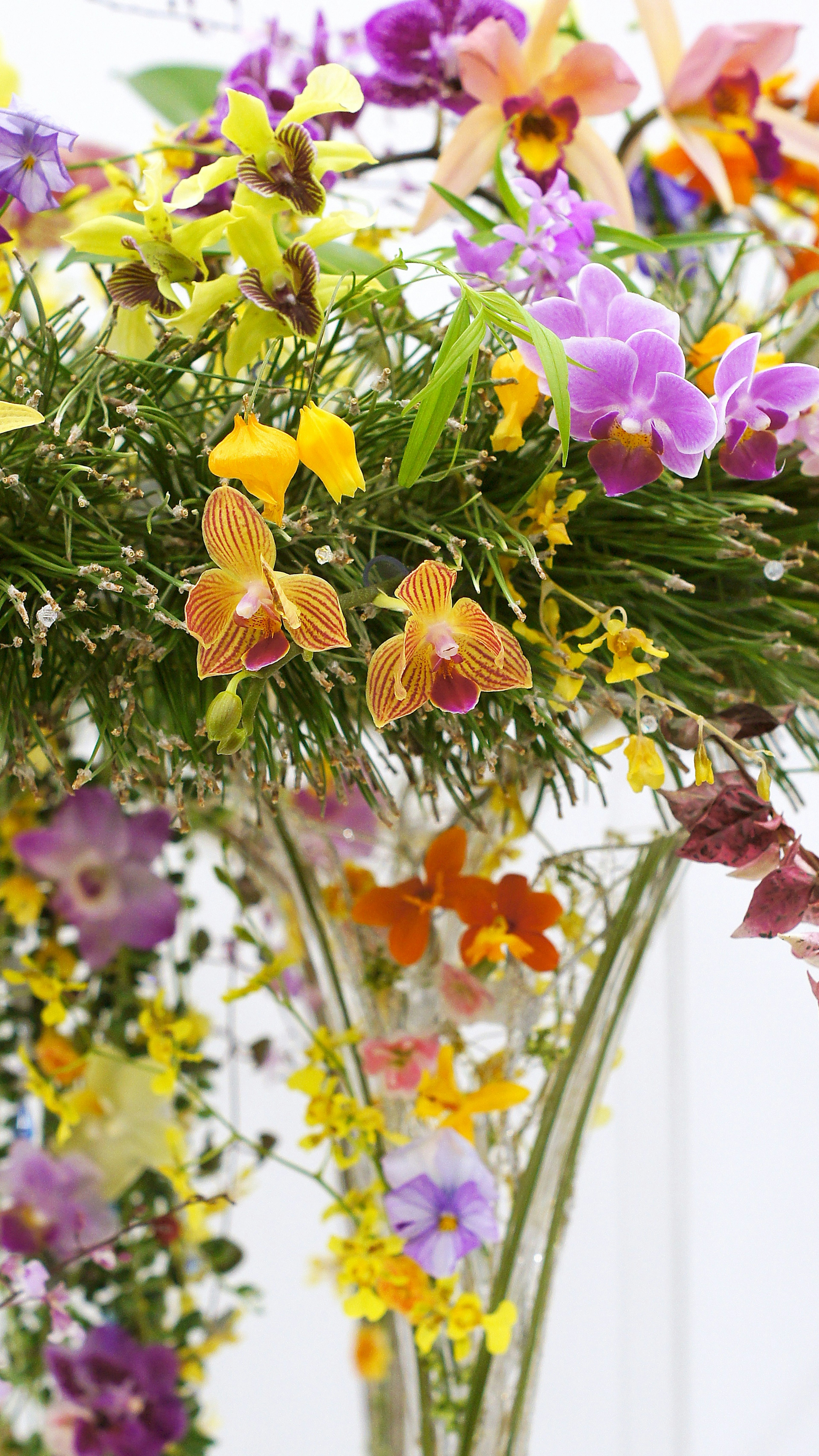 Ein Strauß mit lebhaften Orchideen in verschiedenen Farben