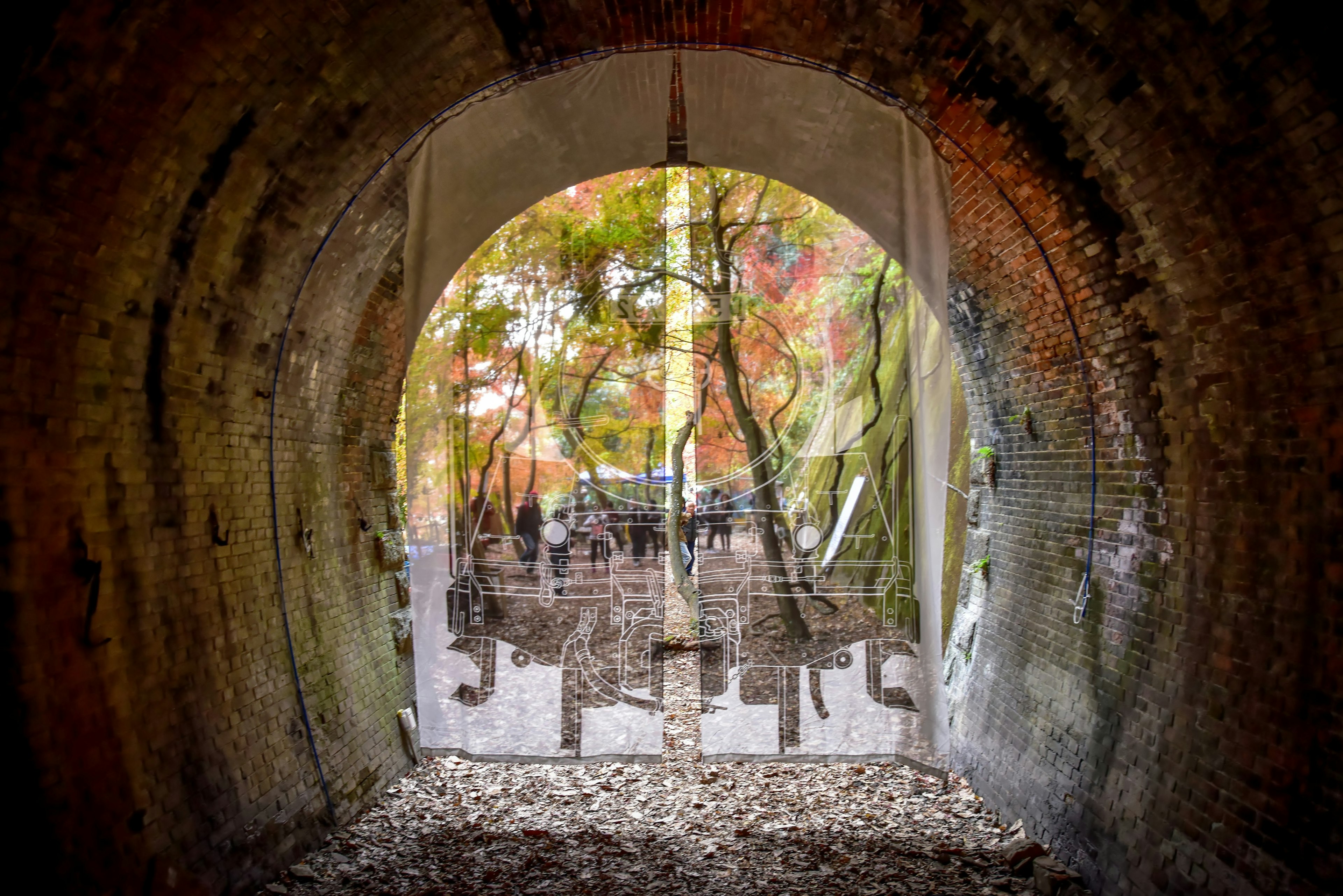 Arco de túnel que revela un follaje otoñal vibrante