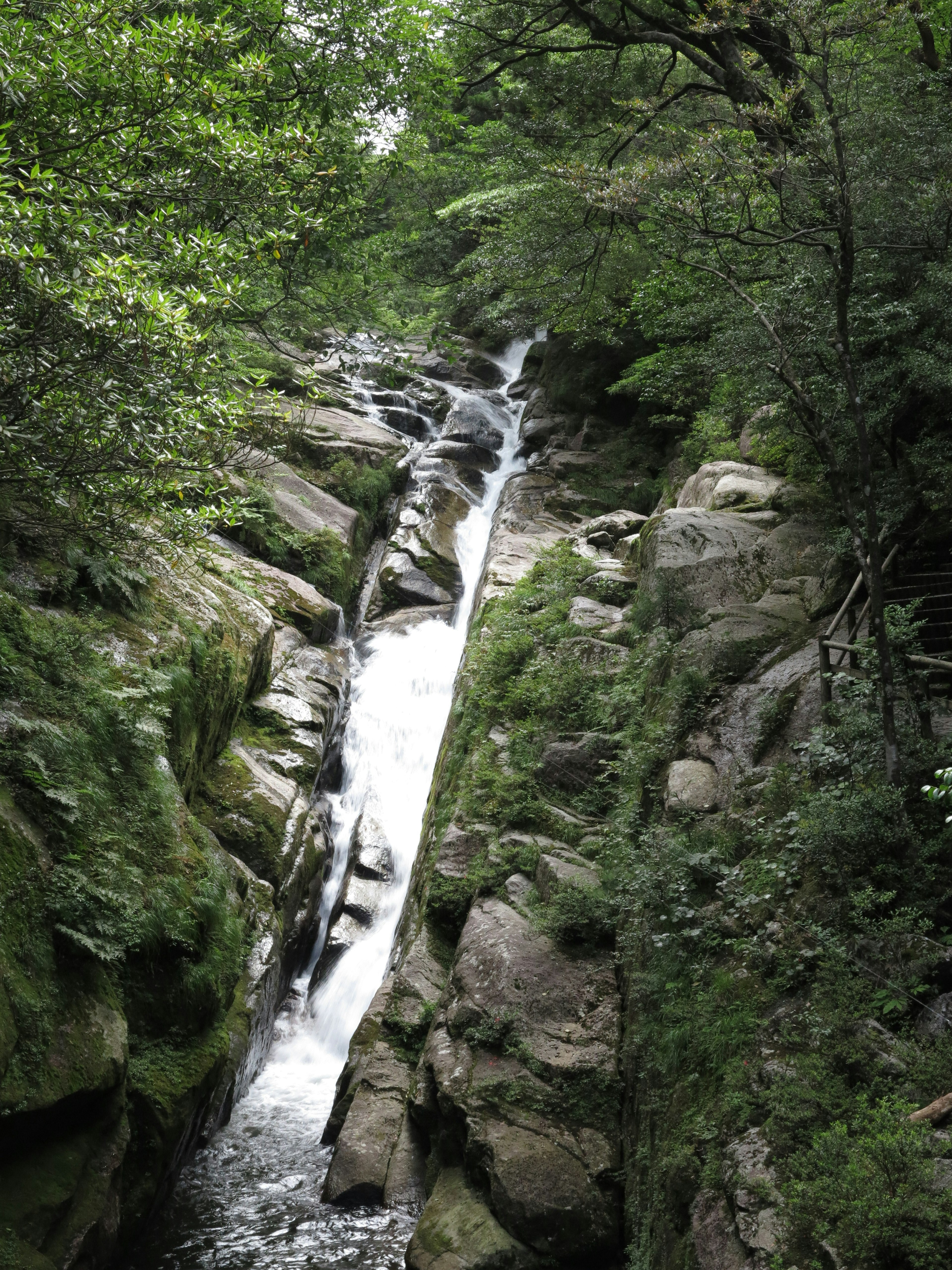 Gambar air terjun yang mengalir melalui hutan hijau lebat dengan batu dan aliran air