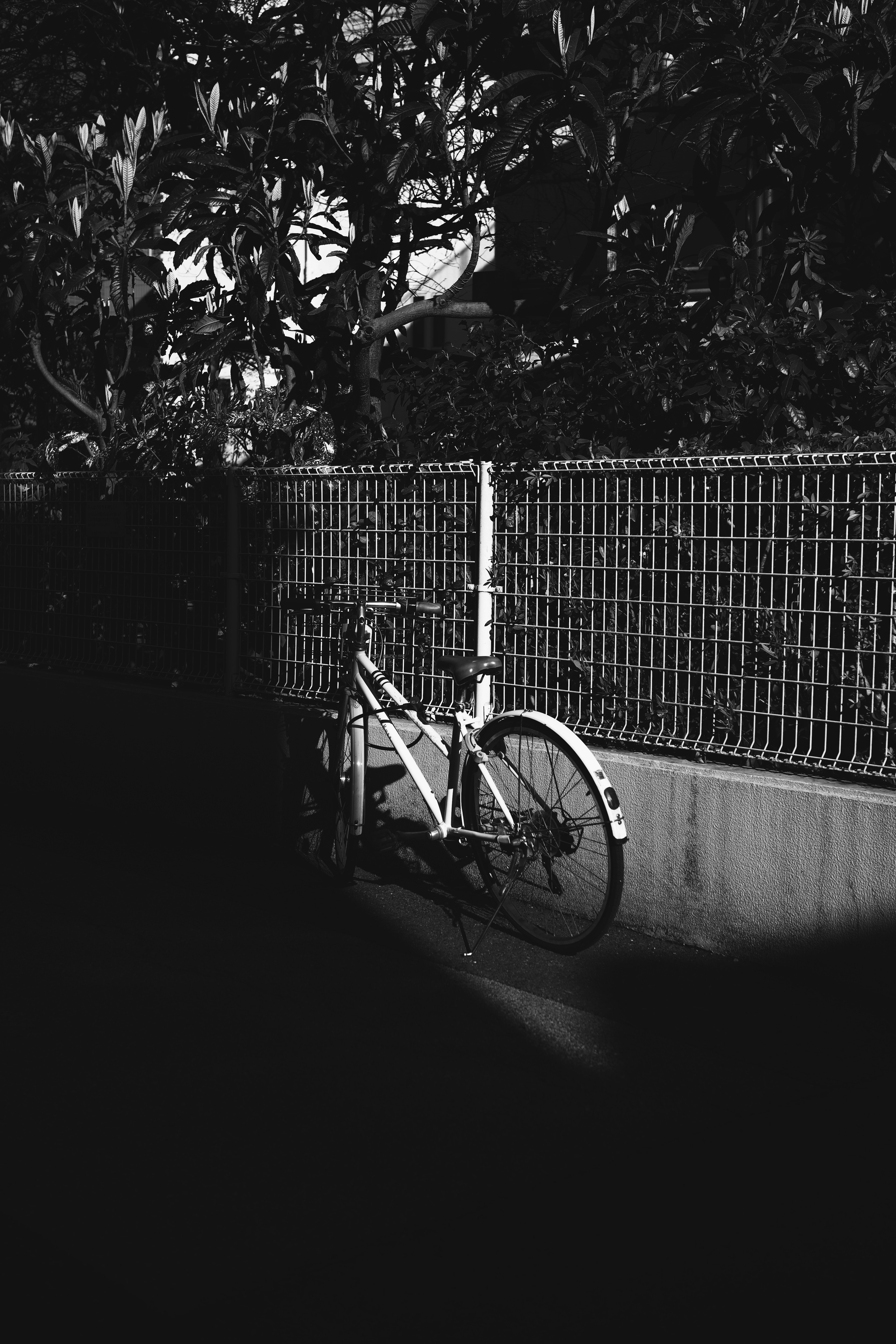 A white bicycle leaning against a fence in a dark setting