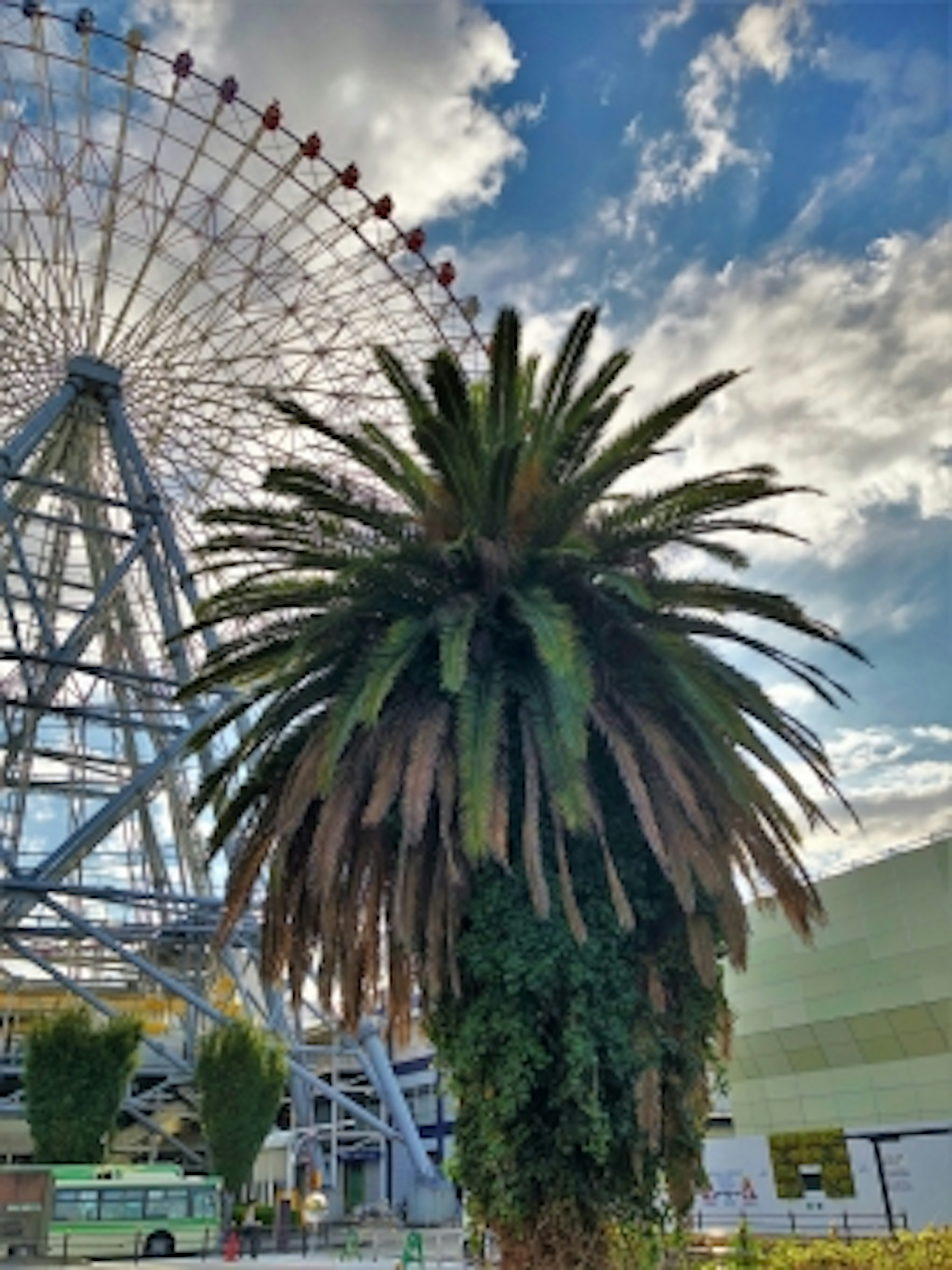 Vista de una noria y una palmera