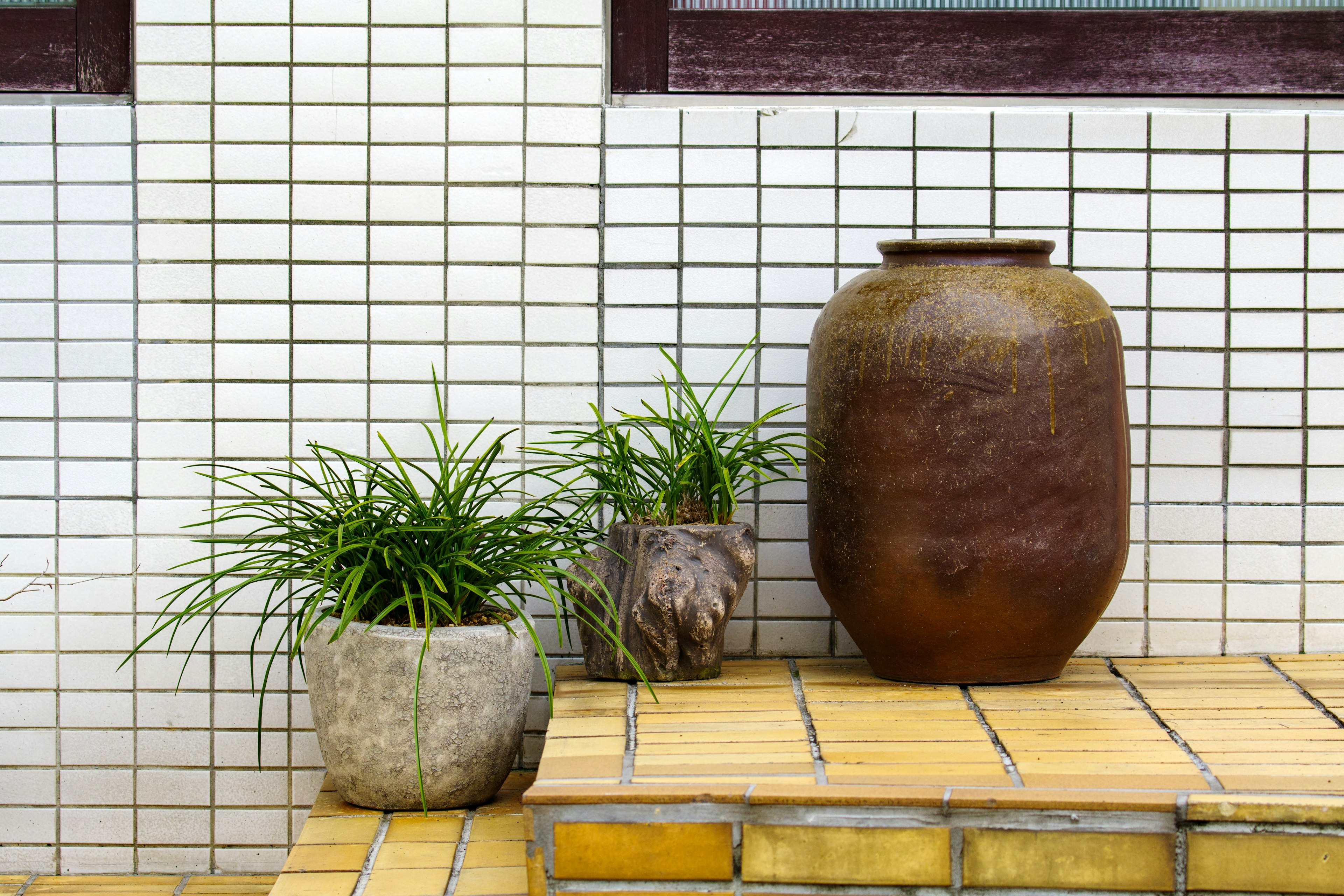 Ceramic jar and potted plants on tiled floor