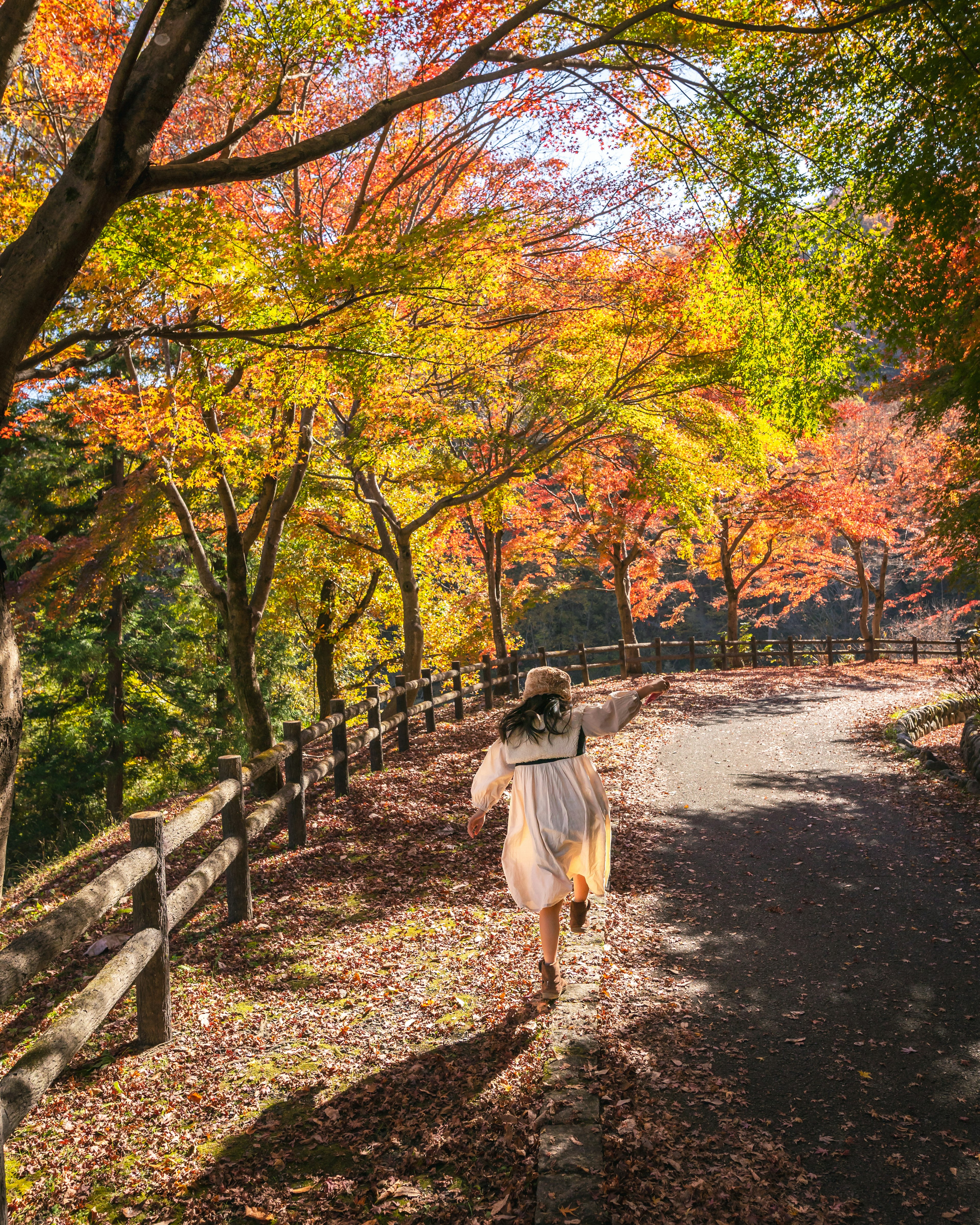 紅葉の道を楽しむ女性が写っている