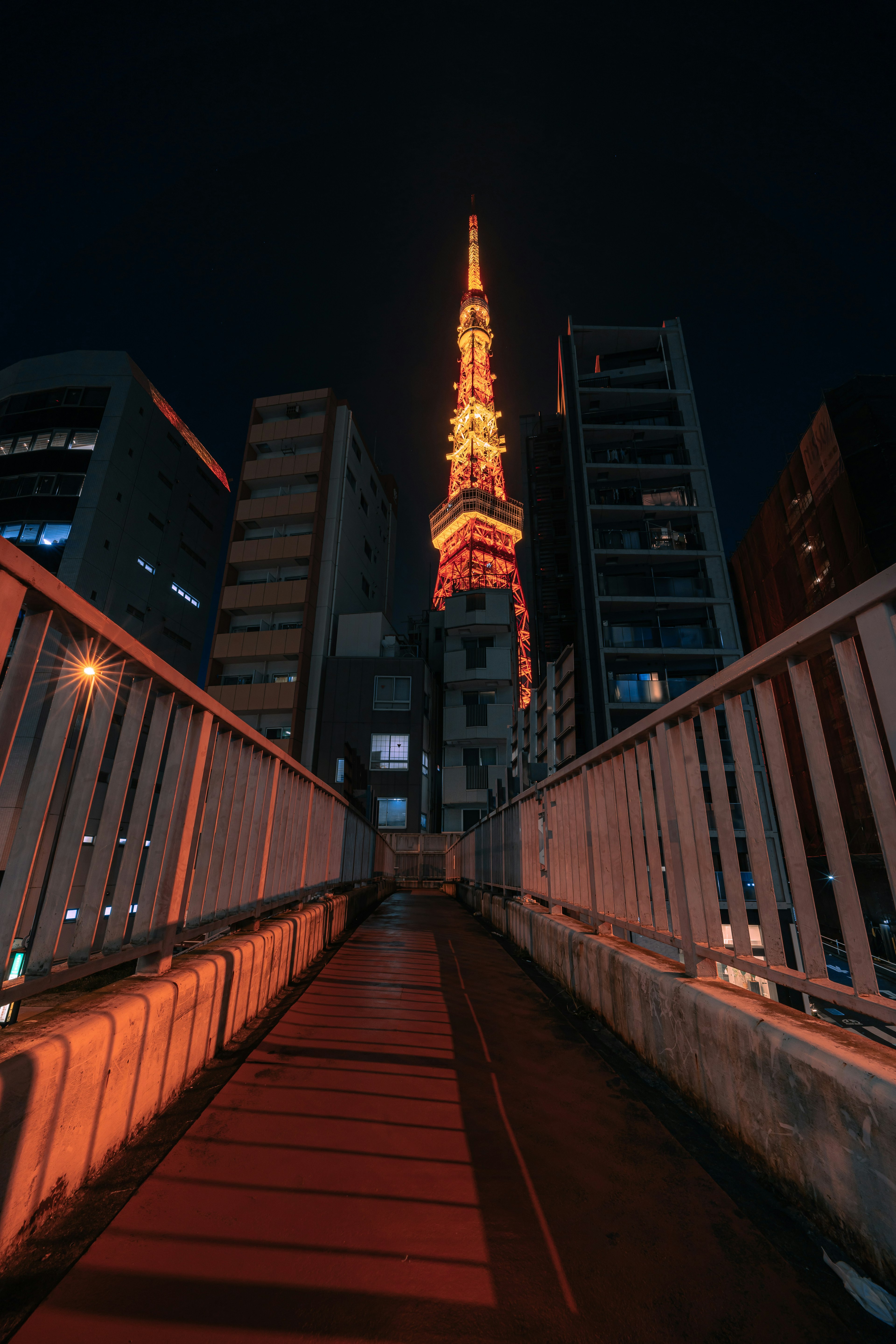 Chemin menant à la Tour de Tokyo illuminée la nuit