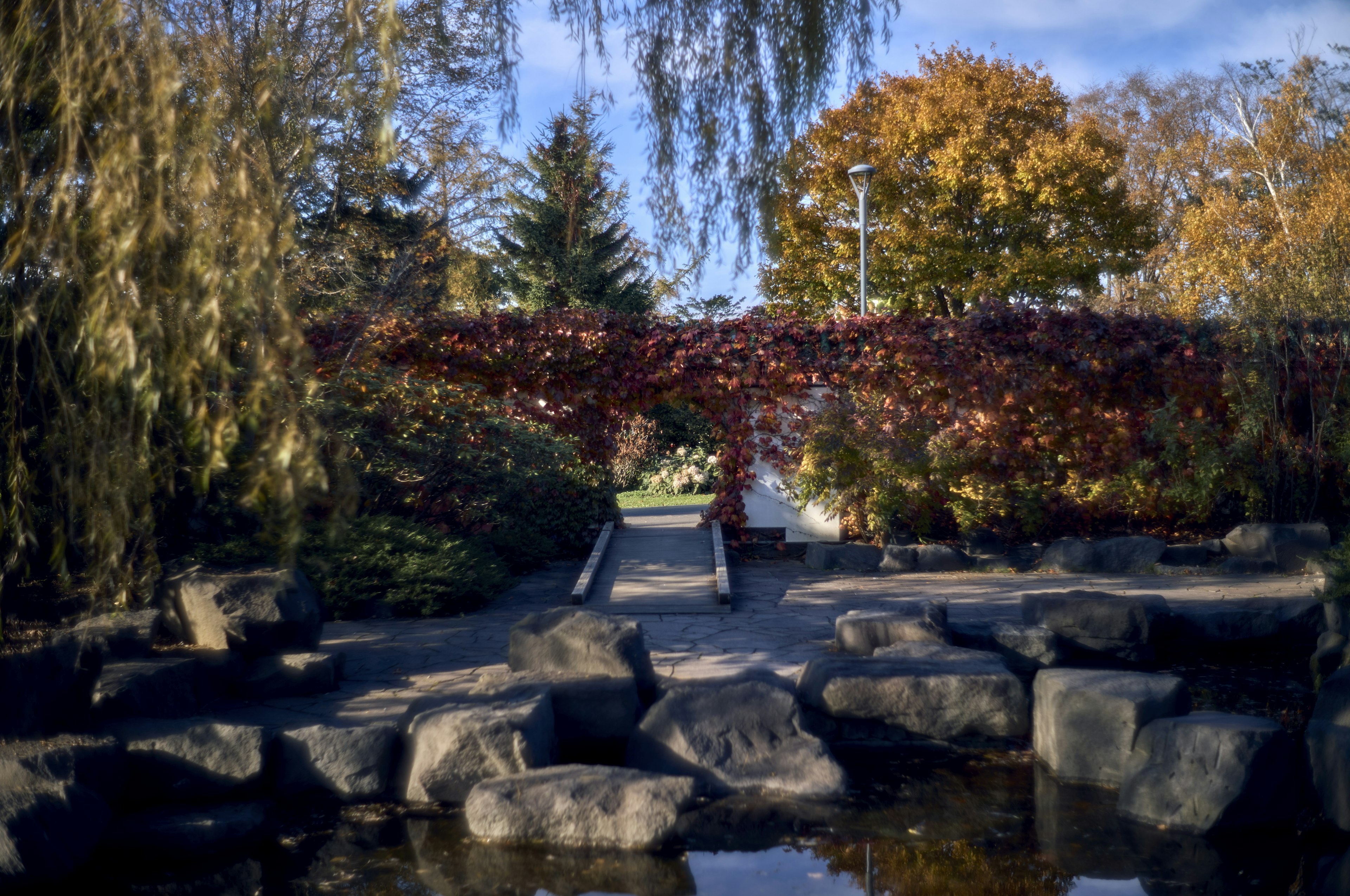 Scenic view of a park with colorful trees and a stone bridge