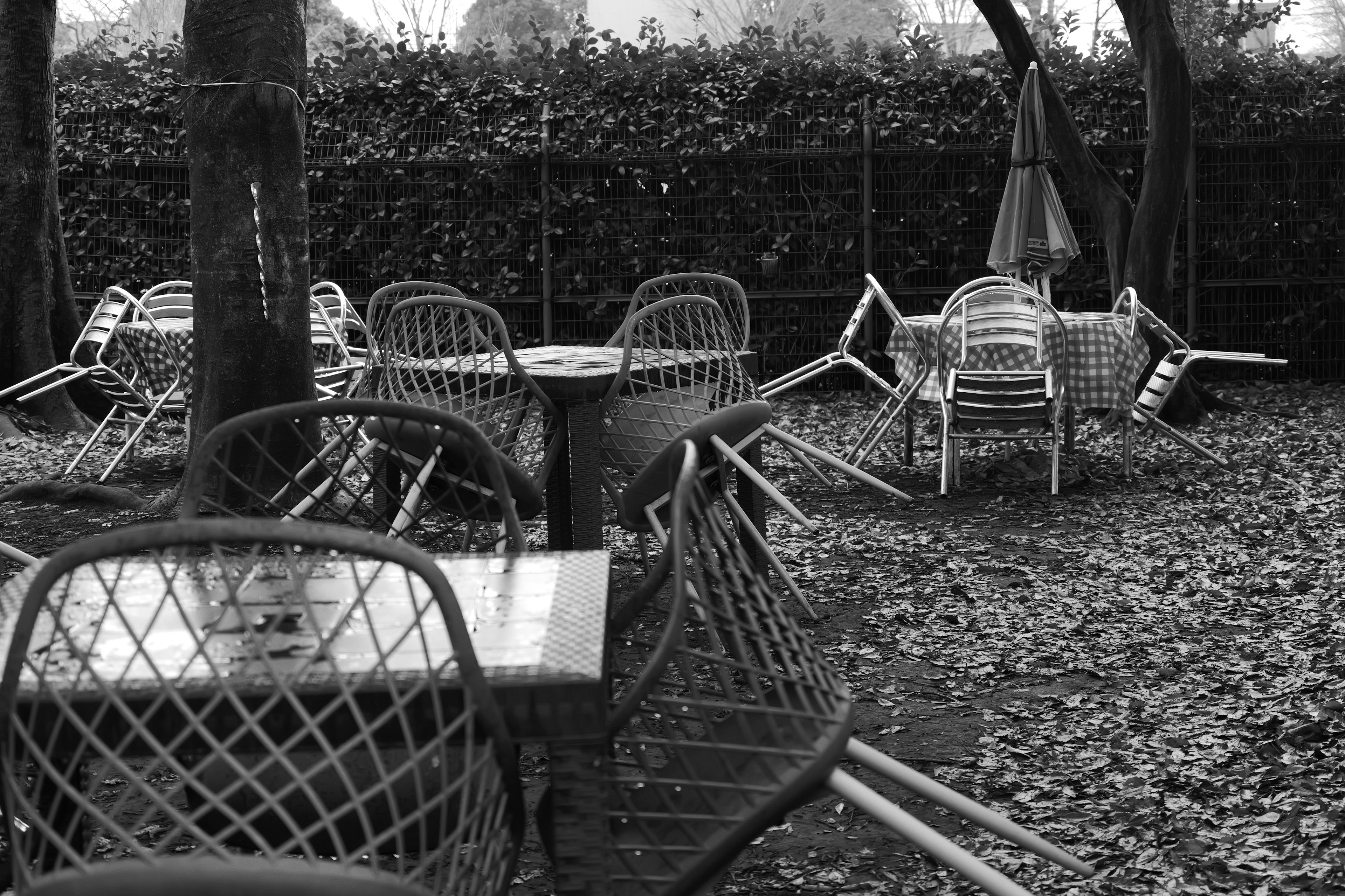 A quiet garden scene with overturned chairs and tables