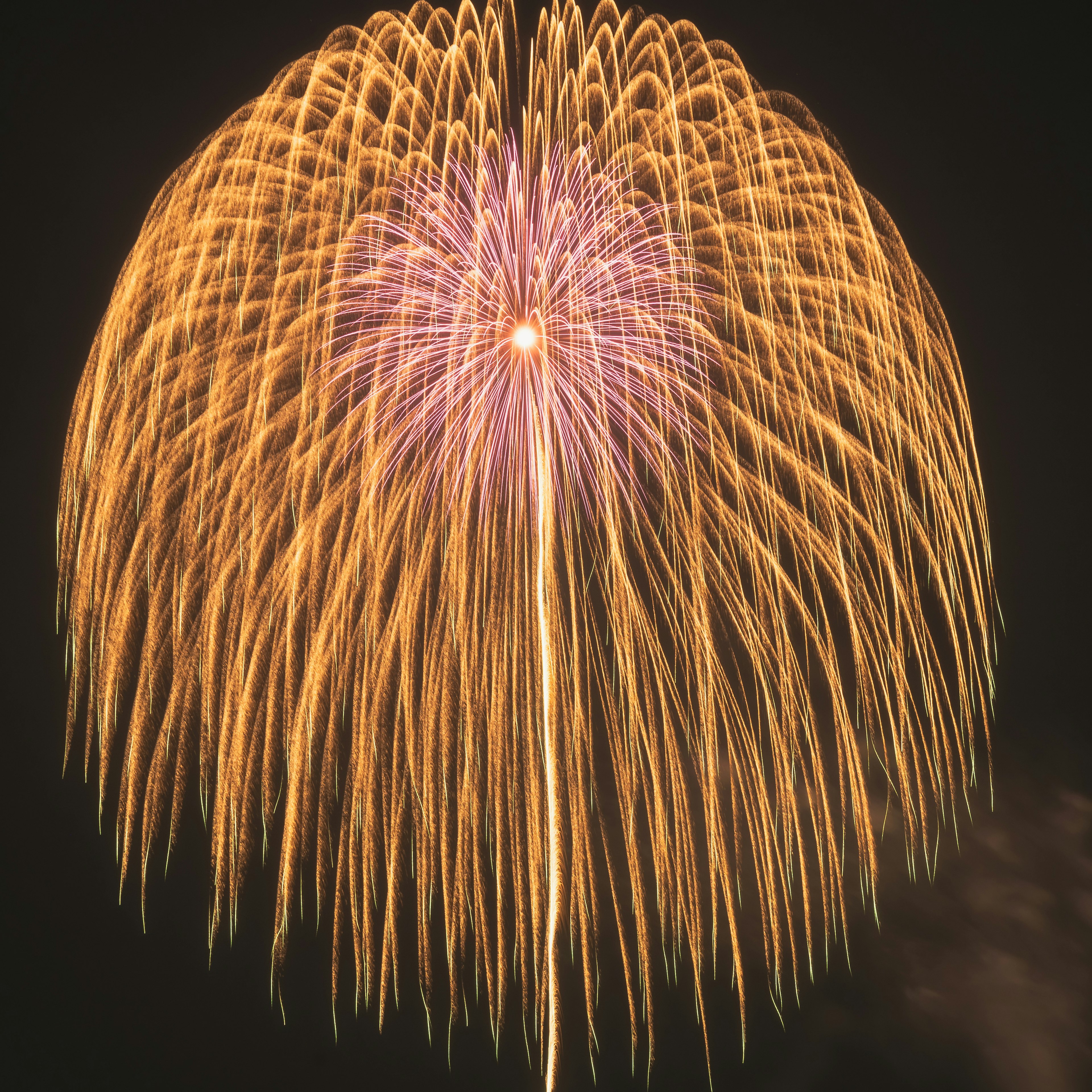 Bellissimo motivo e colori dei fuochi d'artificio che esplodono nel cielo notturno