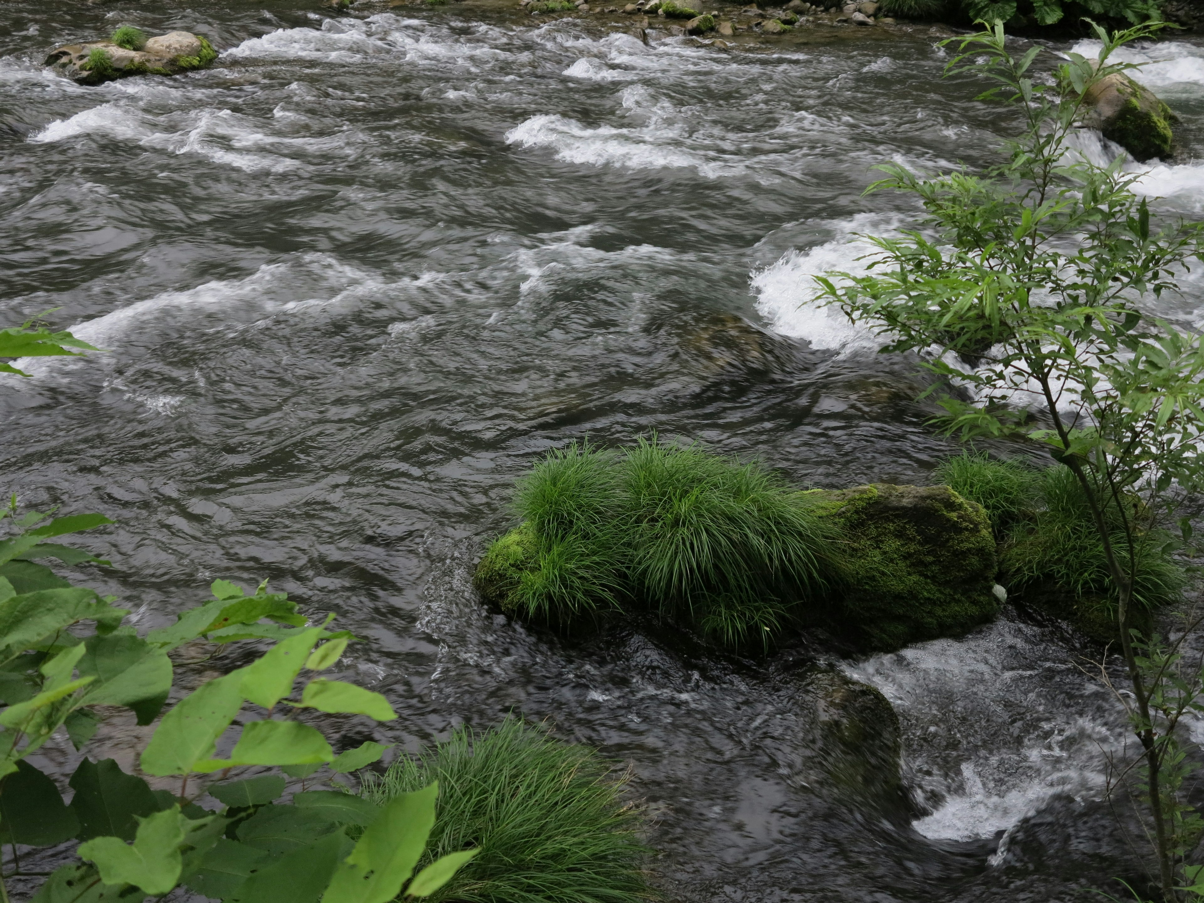 A landscape featuring a clear stream with green grass and rocks