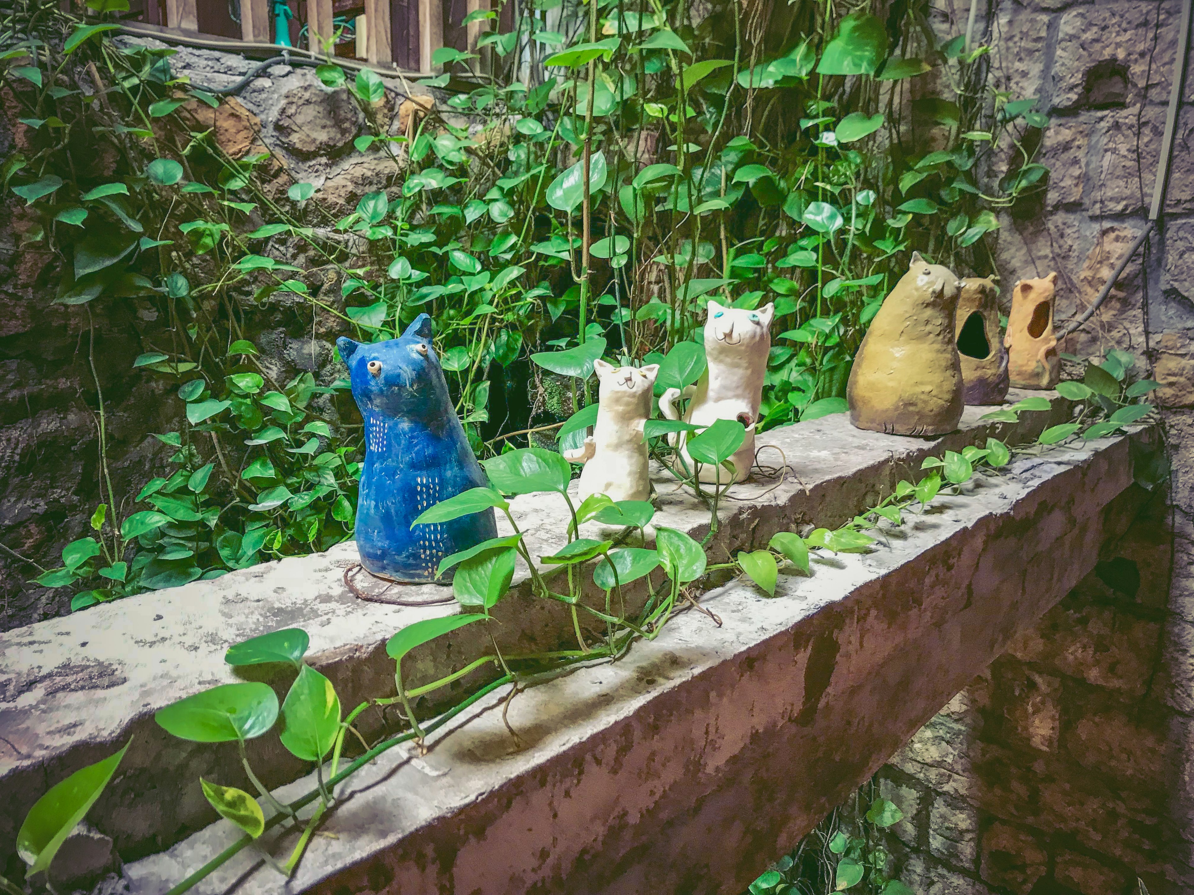 A blue ceramic cat and green plants on an old stone wall shelf