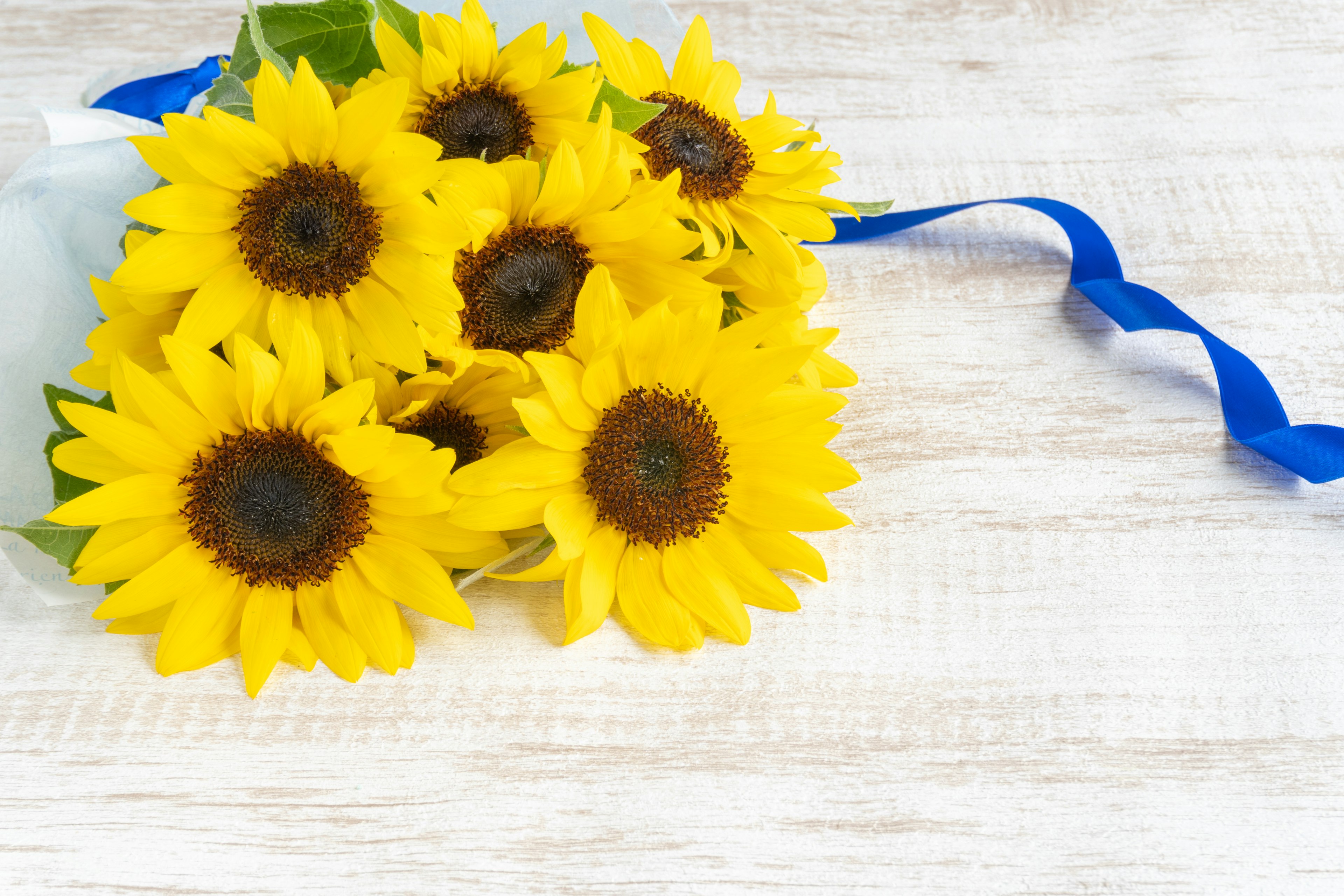 A bouquet of sunflowers with a blue ribbon on a wooden surface