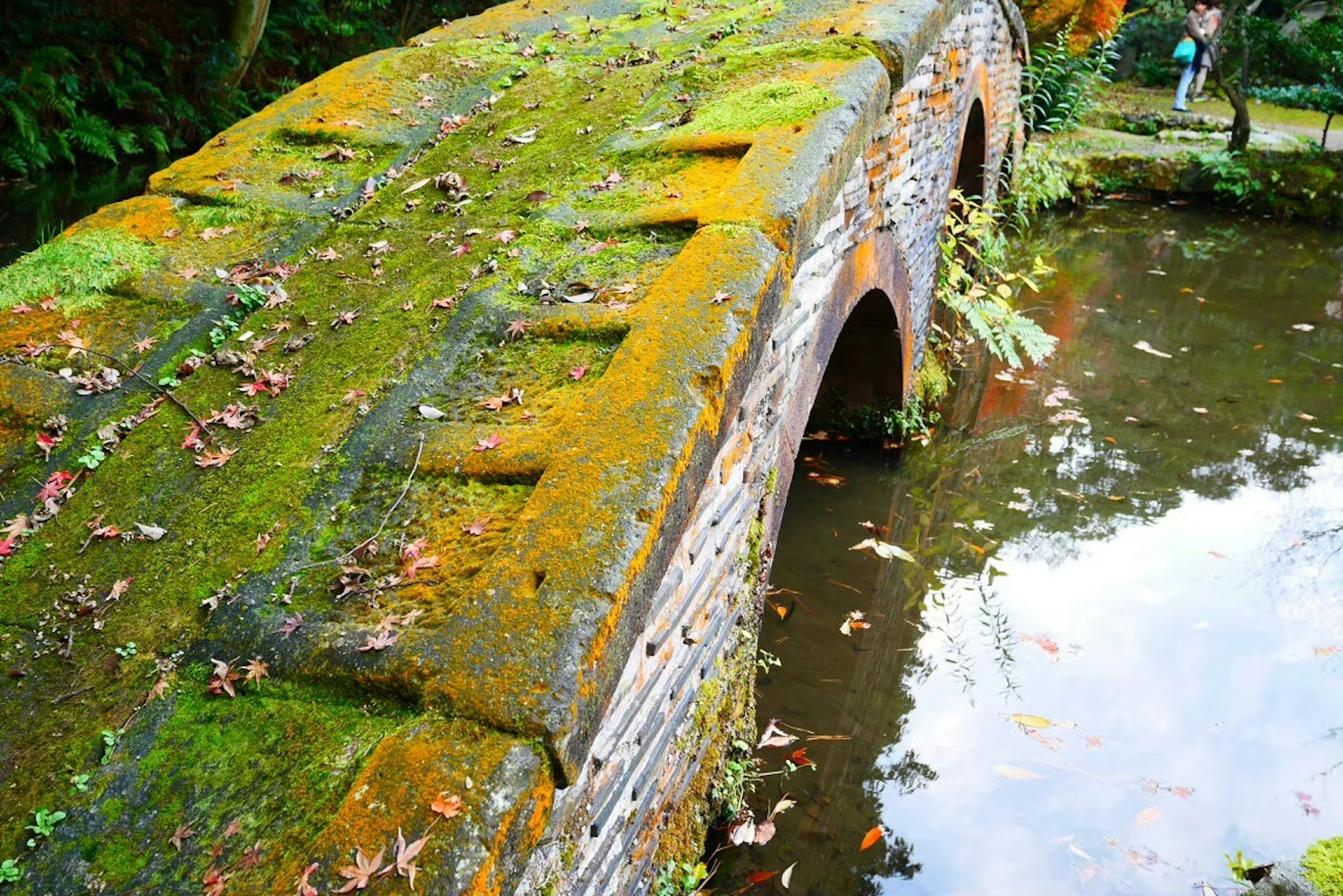 Vecchio ponte ad arco in pietra coperto di muschio verde che si riflette in uno stagno