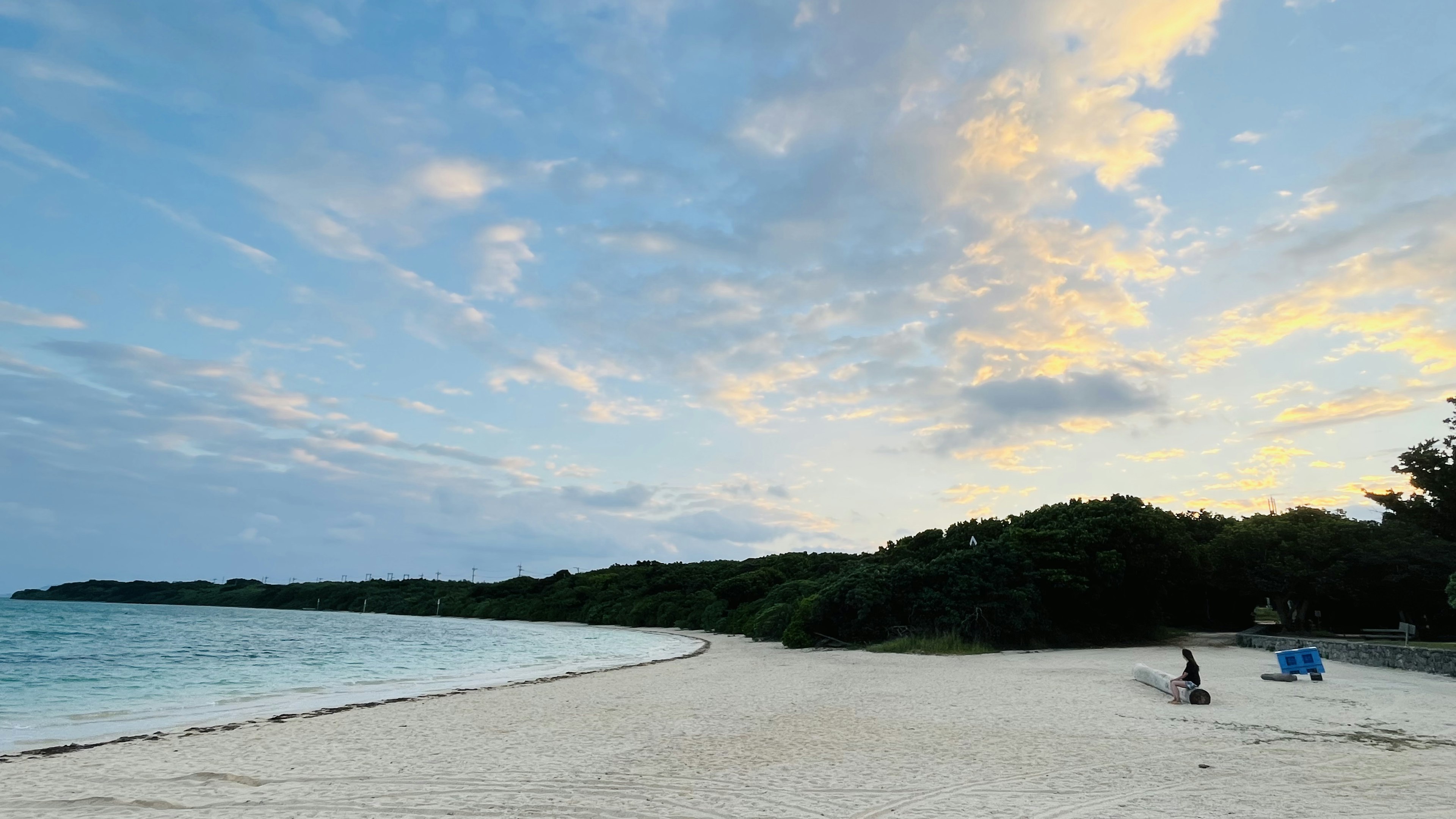 美しいビーチの風景、青い空と白い砂浜、緑の木々、穏やかな海