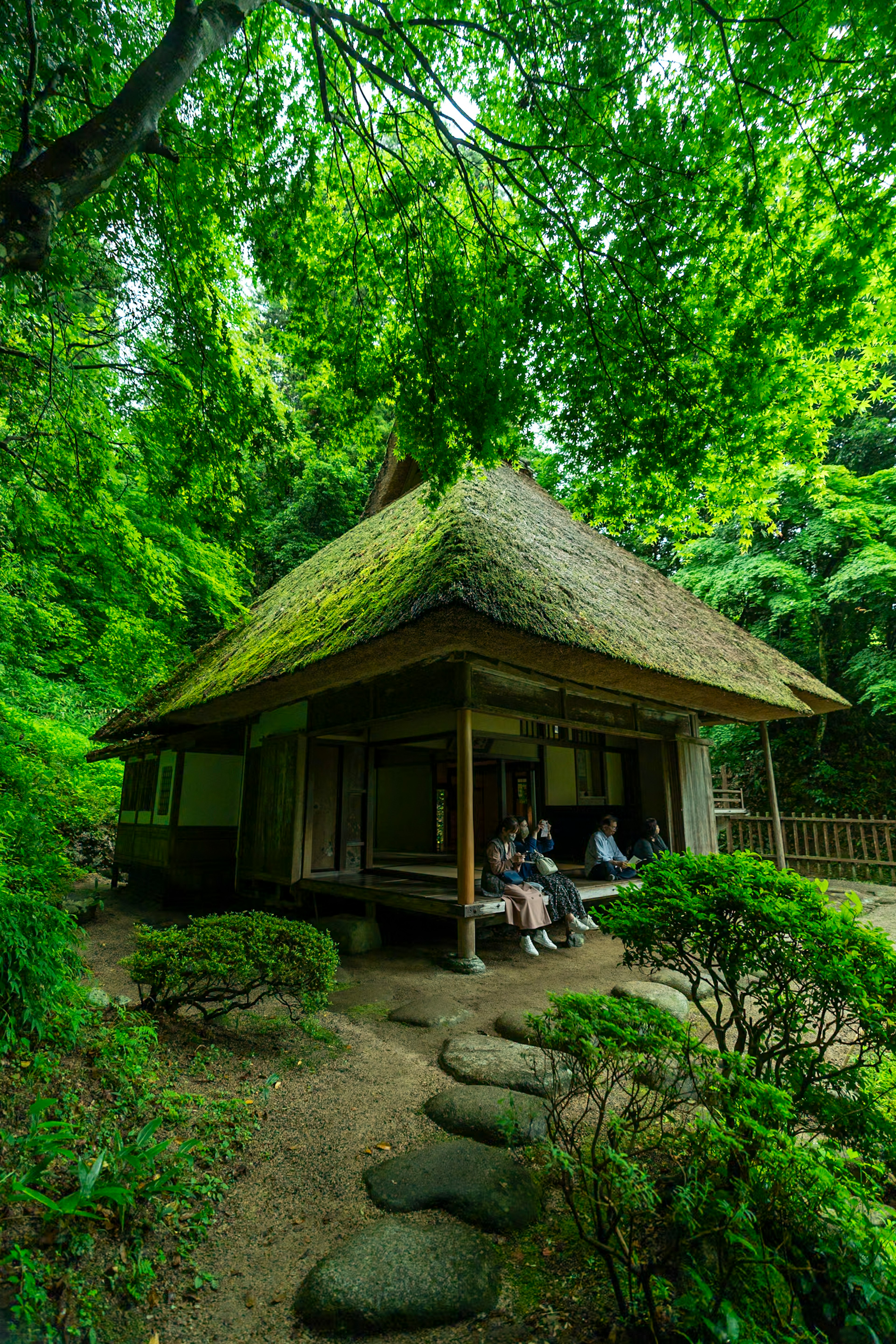 Traditional Japanese thatched-roof house surrounded by lush greenery