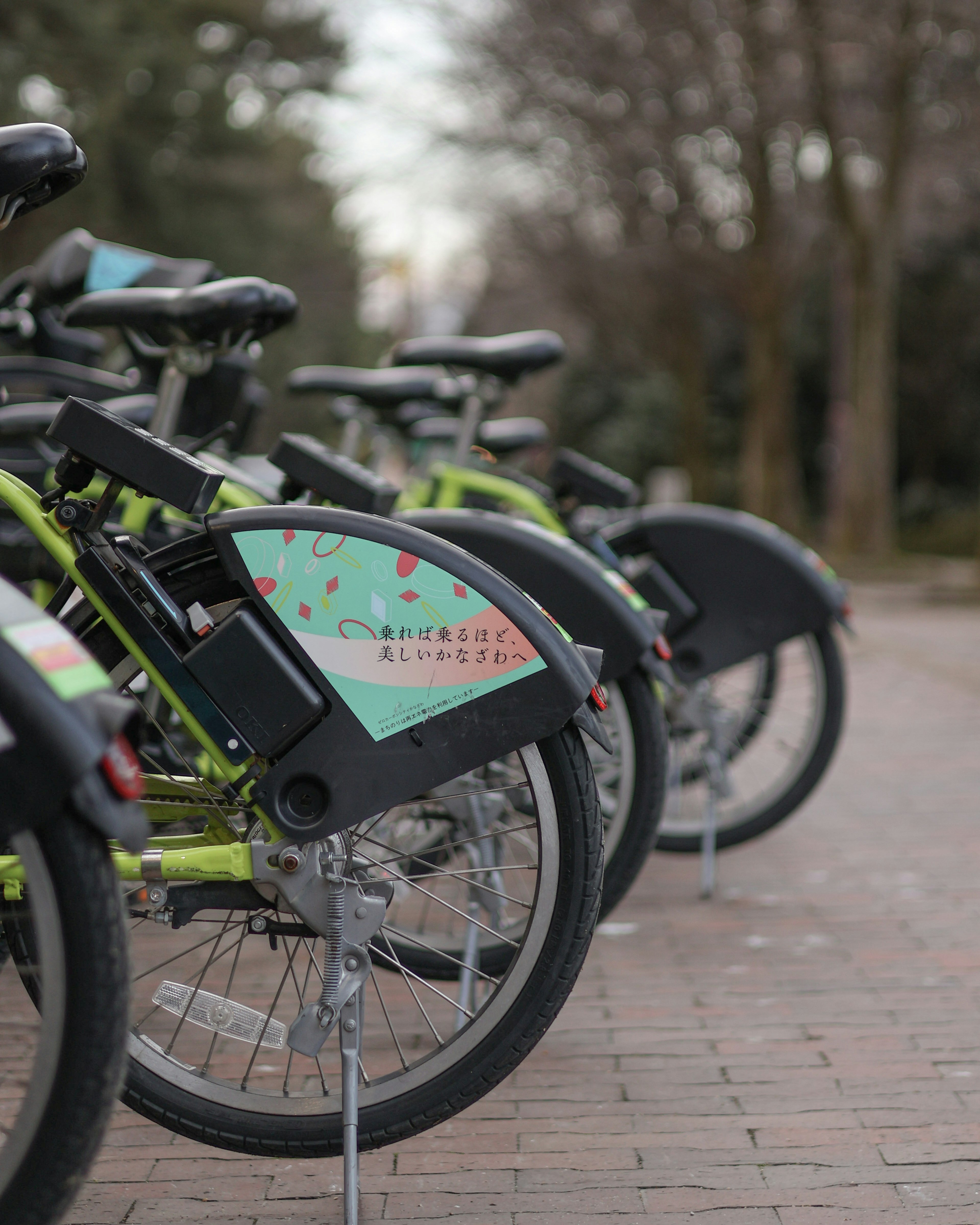 Reihe von Fahrrädern, die in einem Park mit grünen Rahmen und bunten Designs geparkt sind