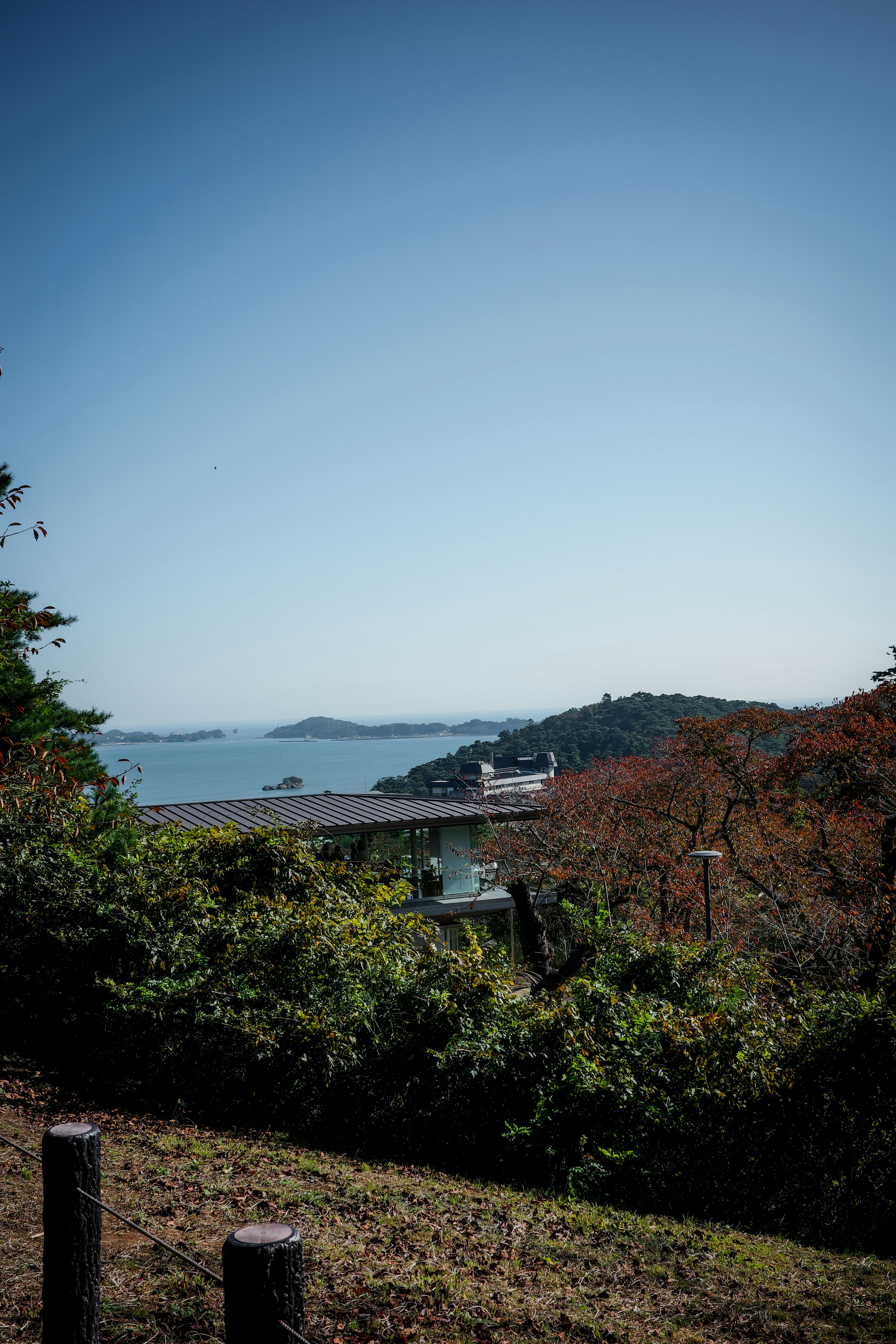 青い空と海を背景にした緑豊かな風景と橋の眺め