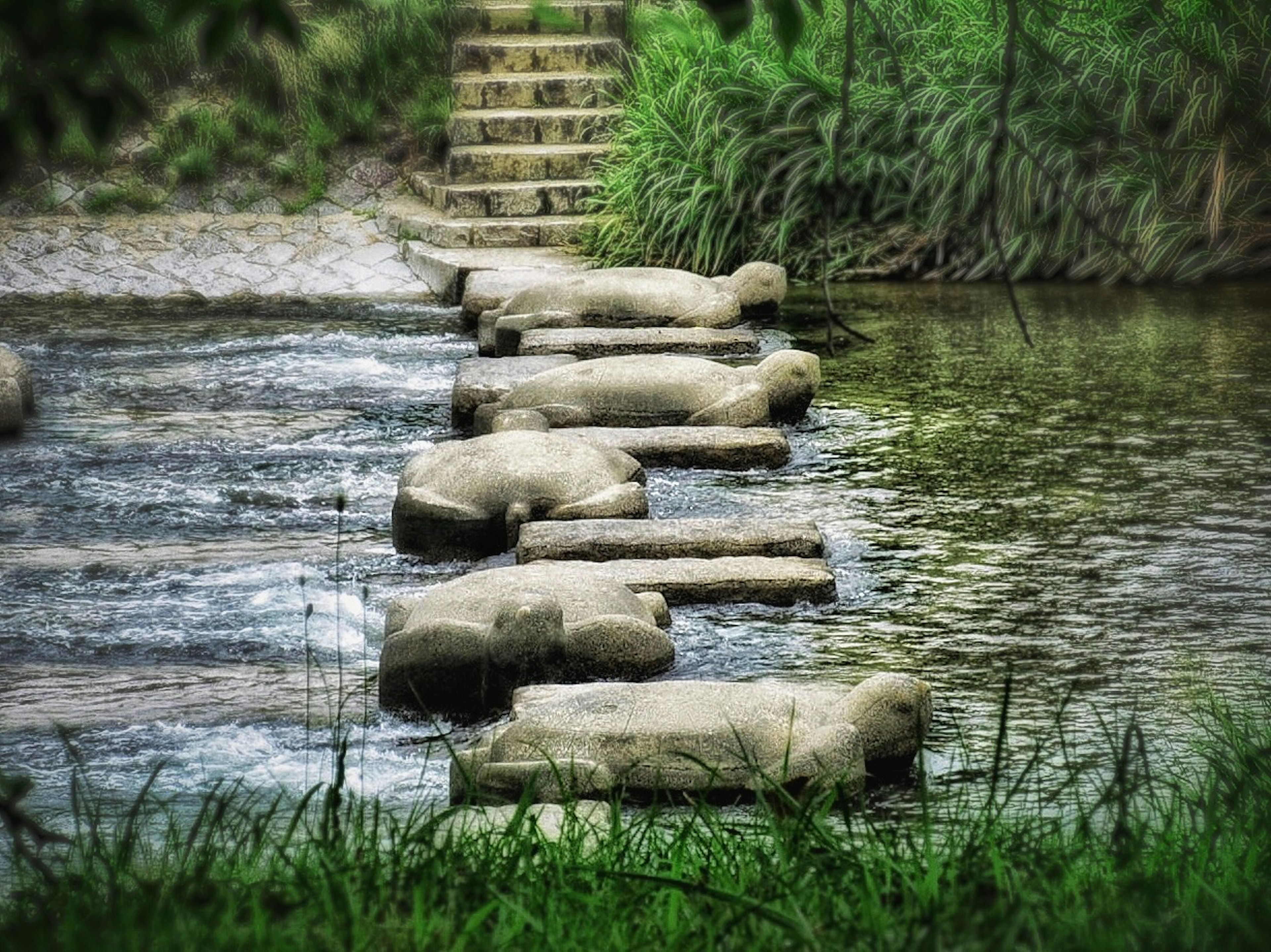 川の中の石のステップと緑の草