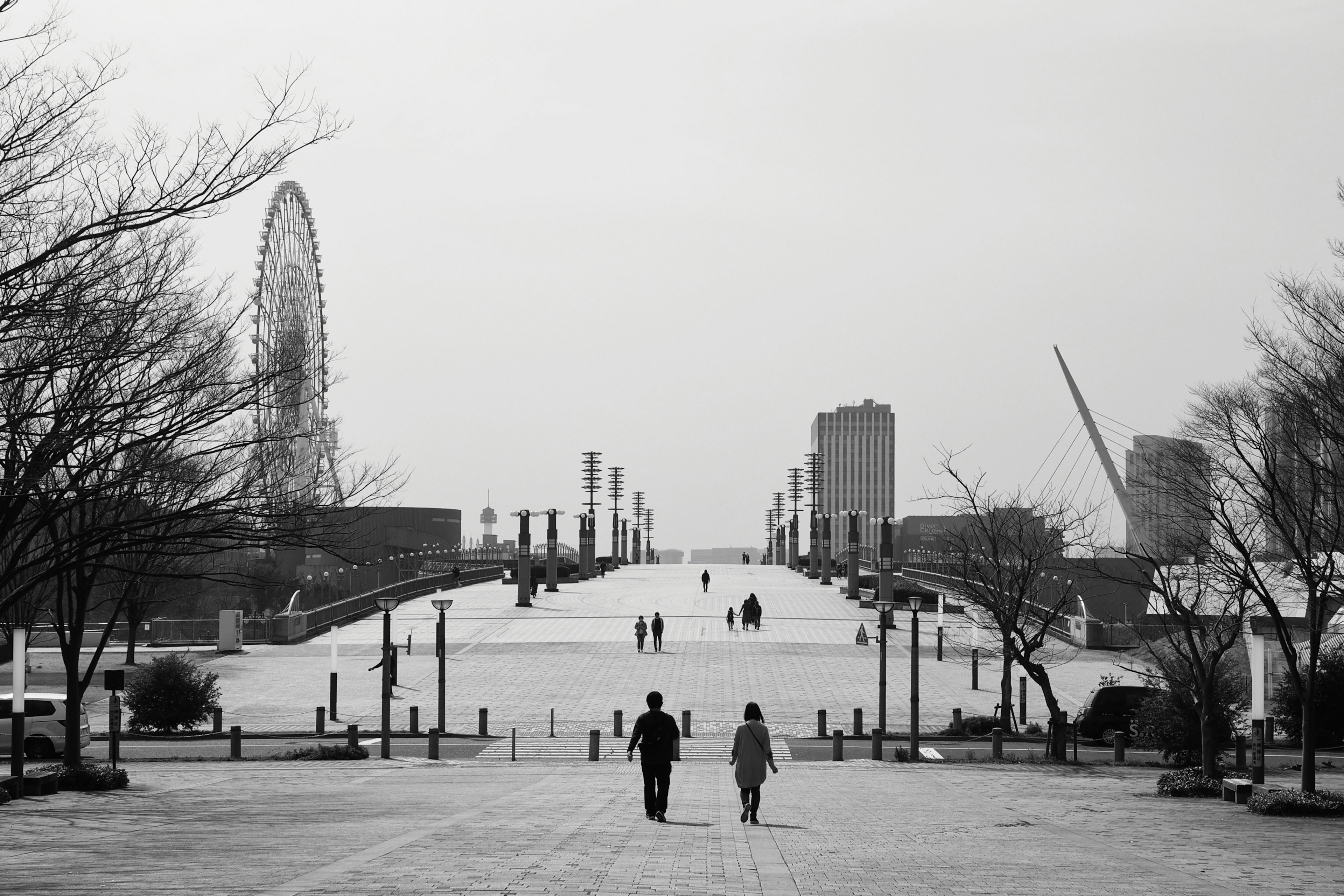 Escena en blanco y negro con personas caminando por un largo camino de parque con una noria