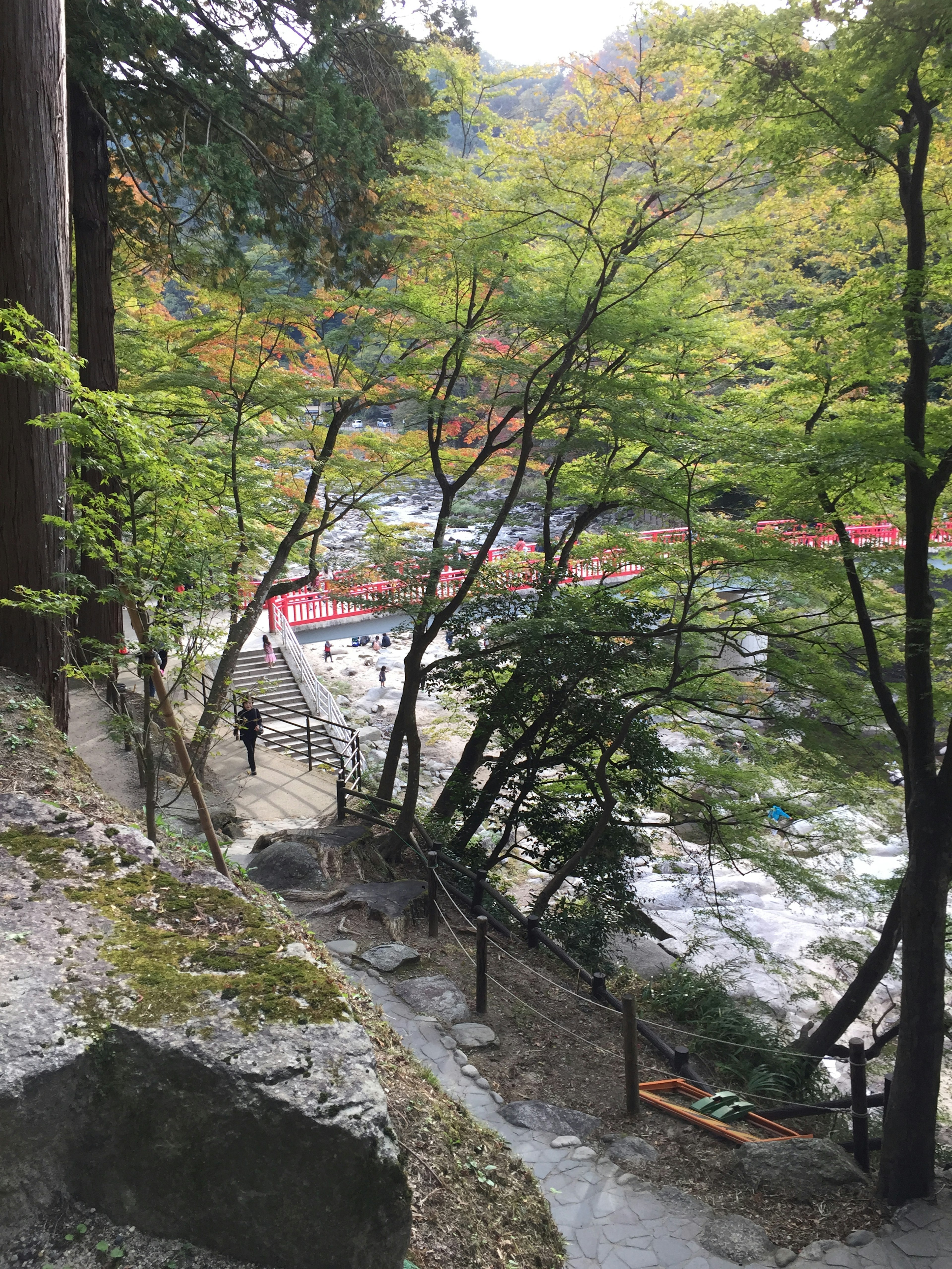 緑の木々が並ぶ川のほとりの風景と小道