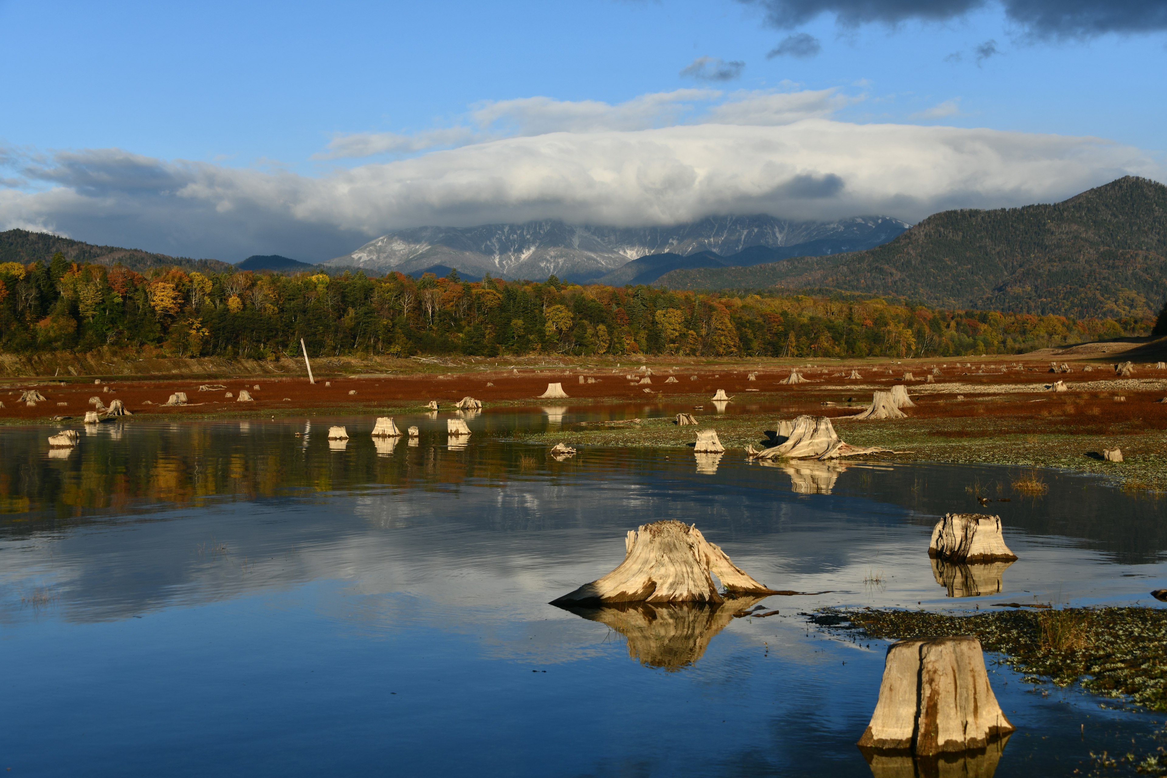 Vue panoramique de montagnes se reflétant sur une eau calme avec feuillage d'automne