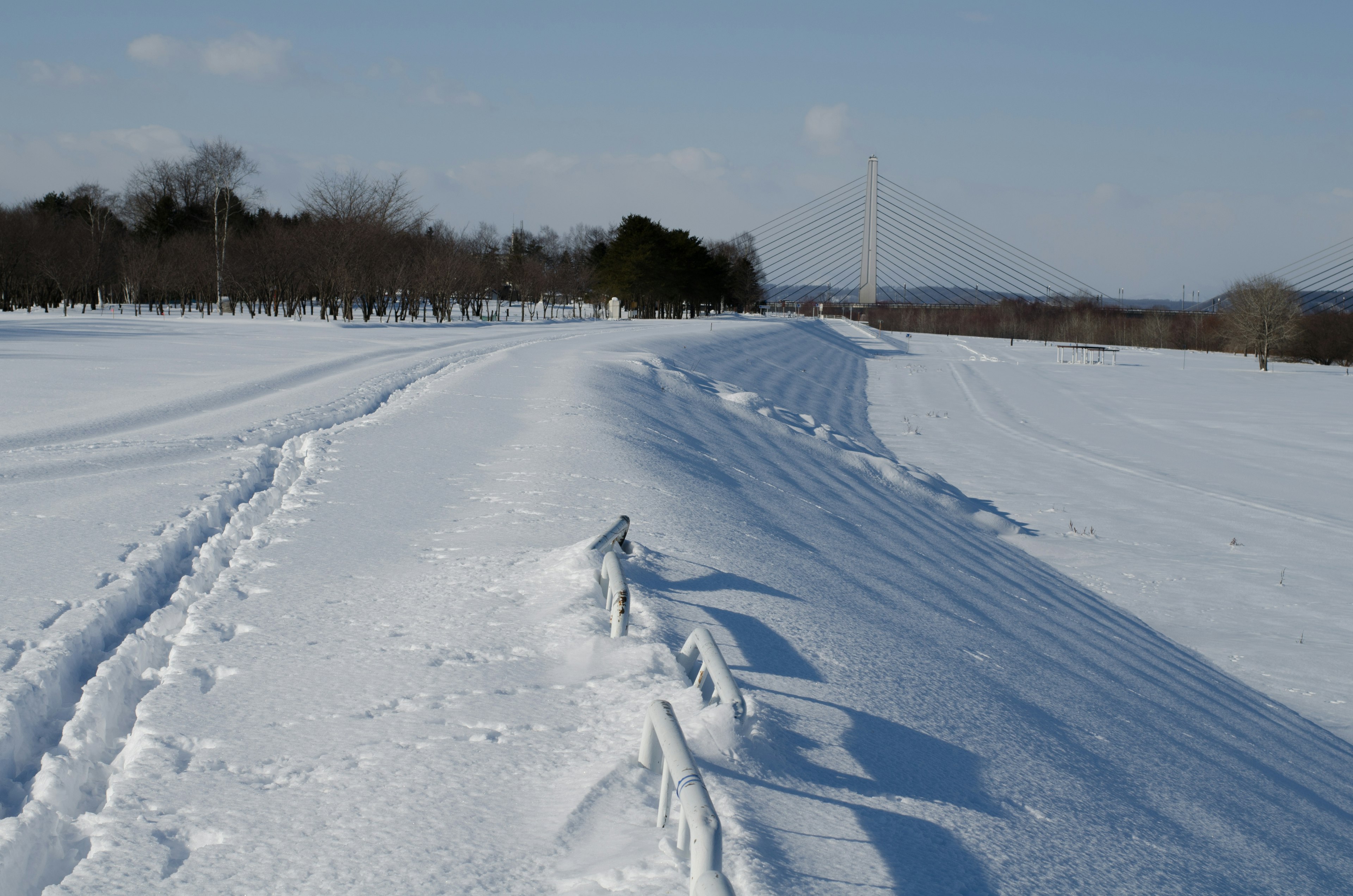 雪に覆われた風景と足跡のある道