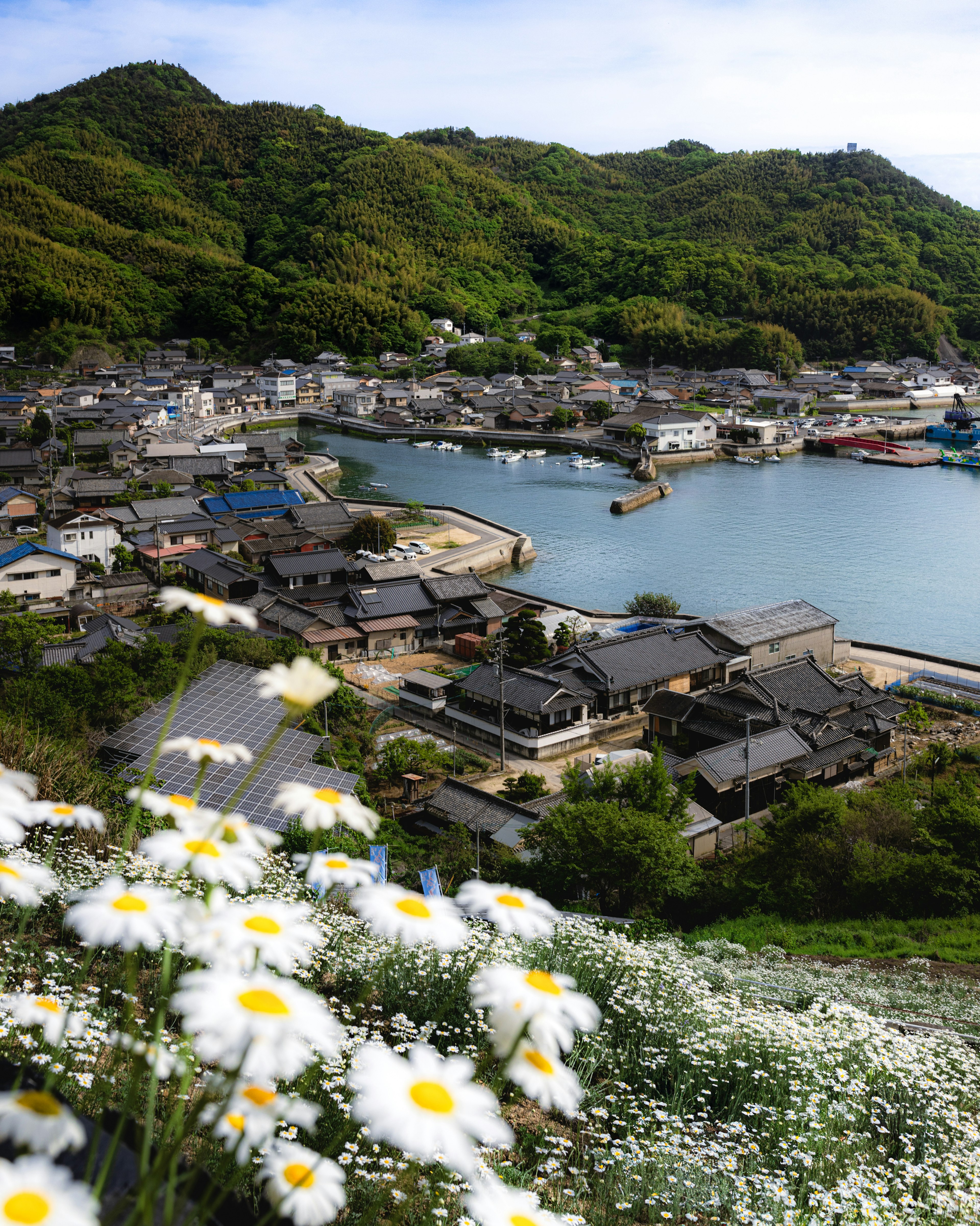 Scenic view of a Japanese town surrounded by lush green hills and a tranquil bay