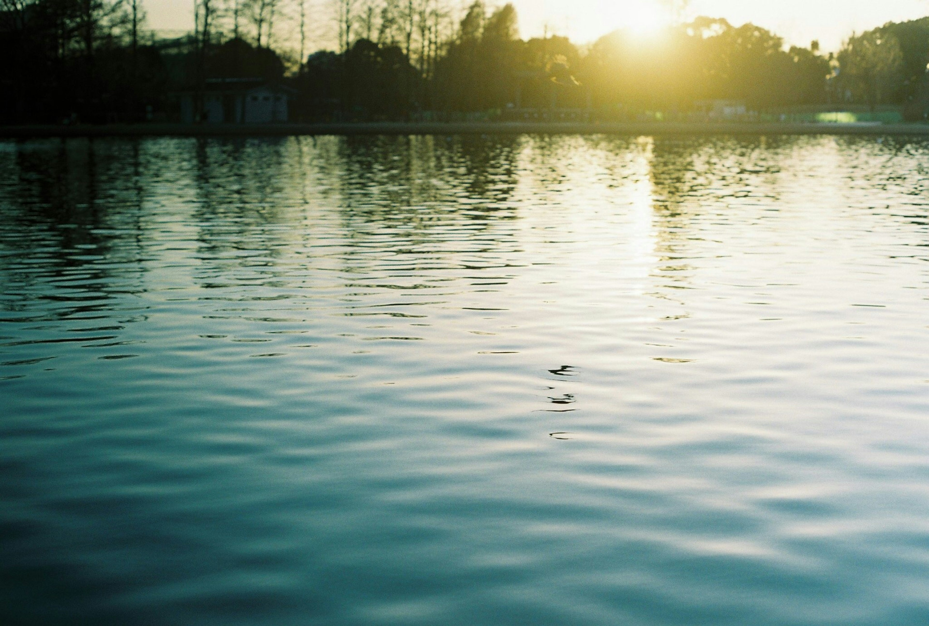 Sunset reflecting on a tranquil lake surface