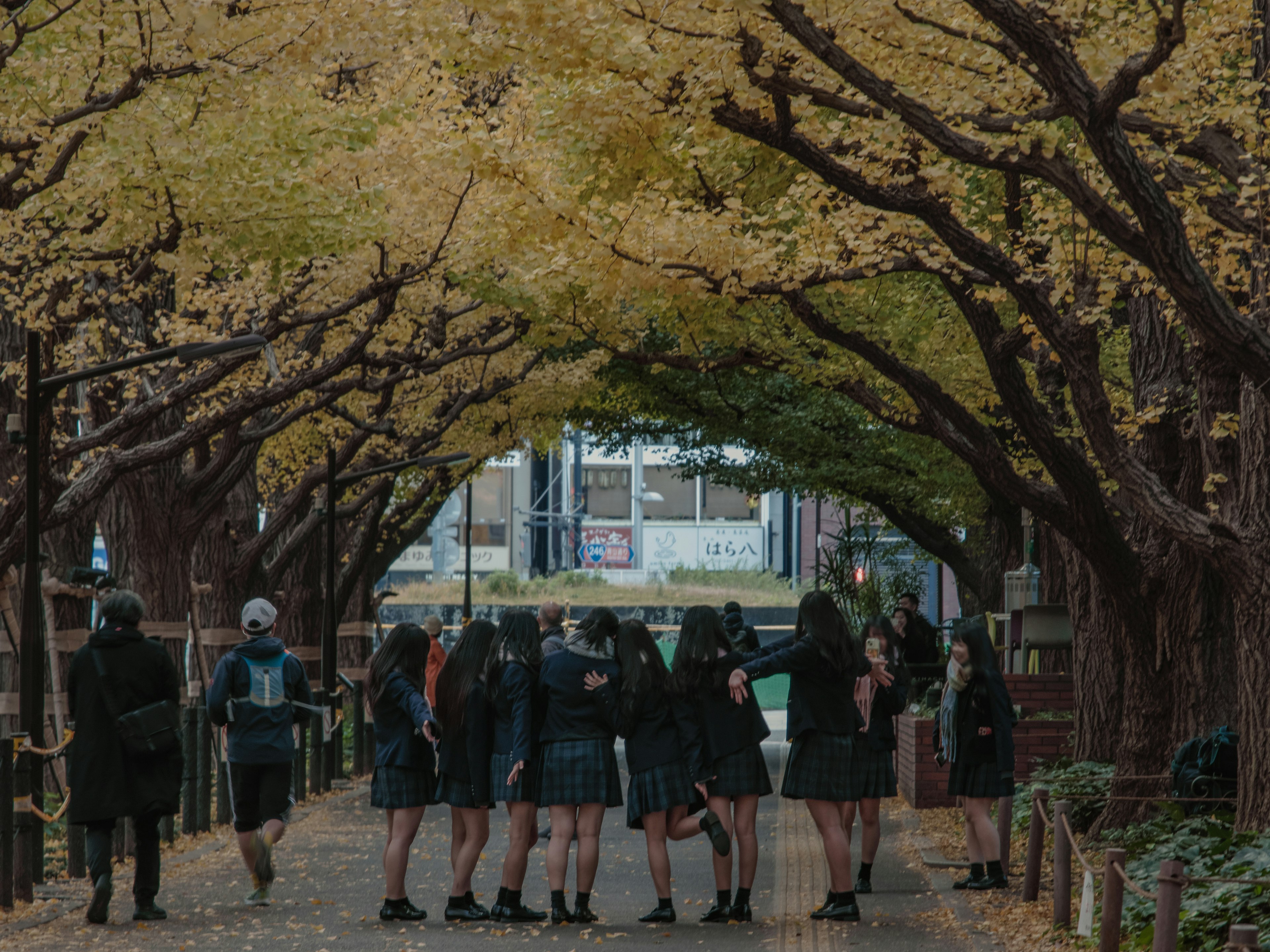 Group of young people posing under autumn trees