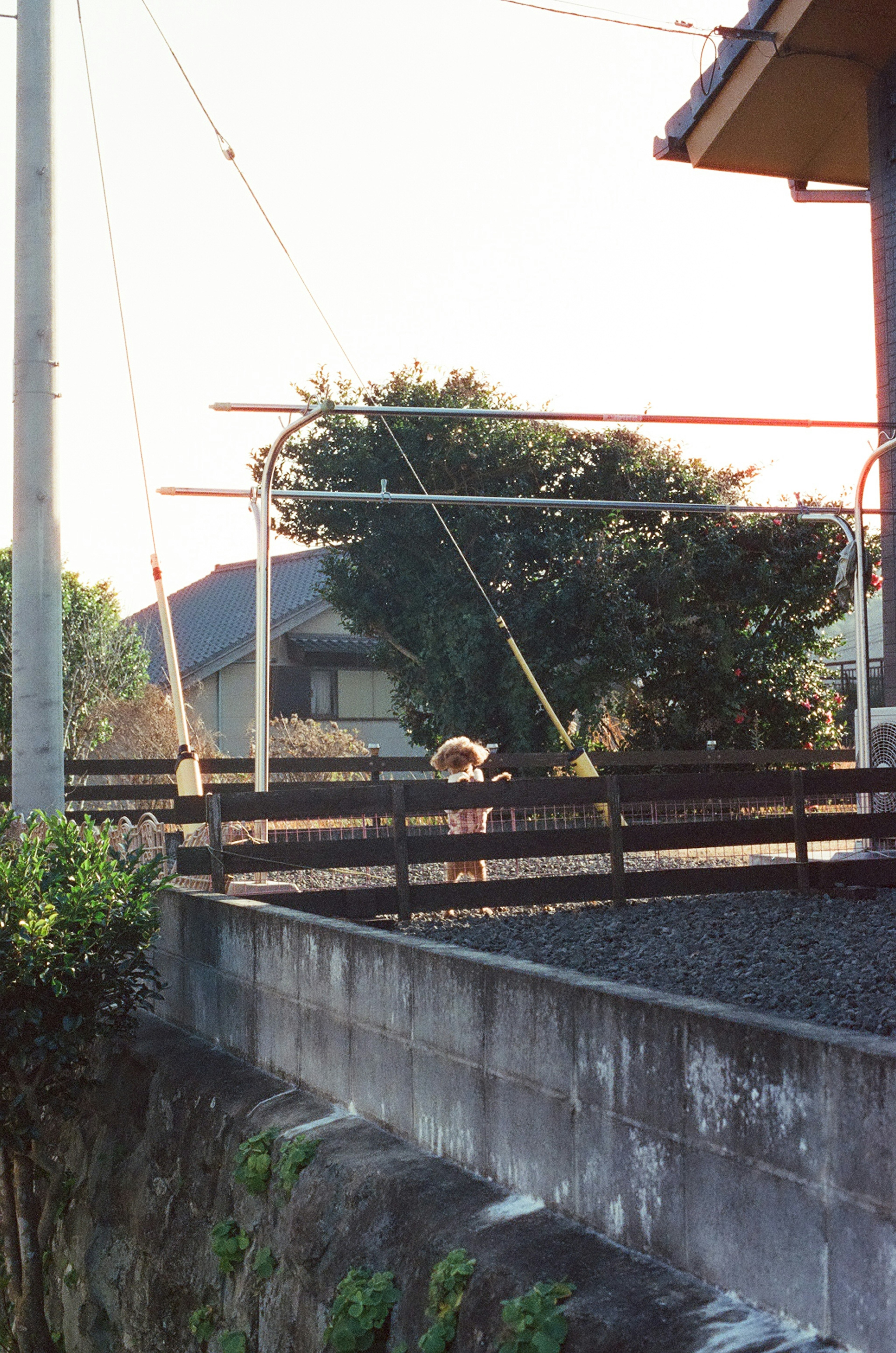 Countryside station view with railway and utility poles surrounded by greenery