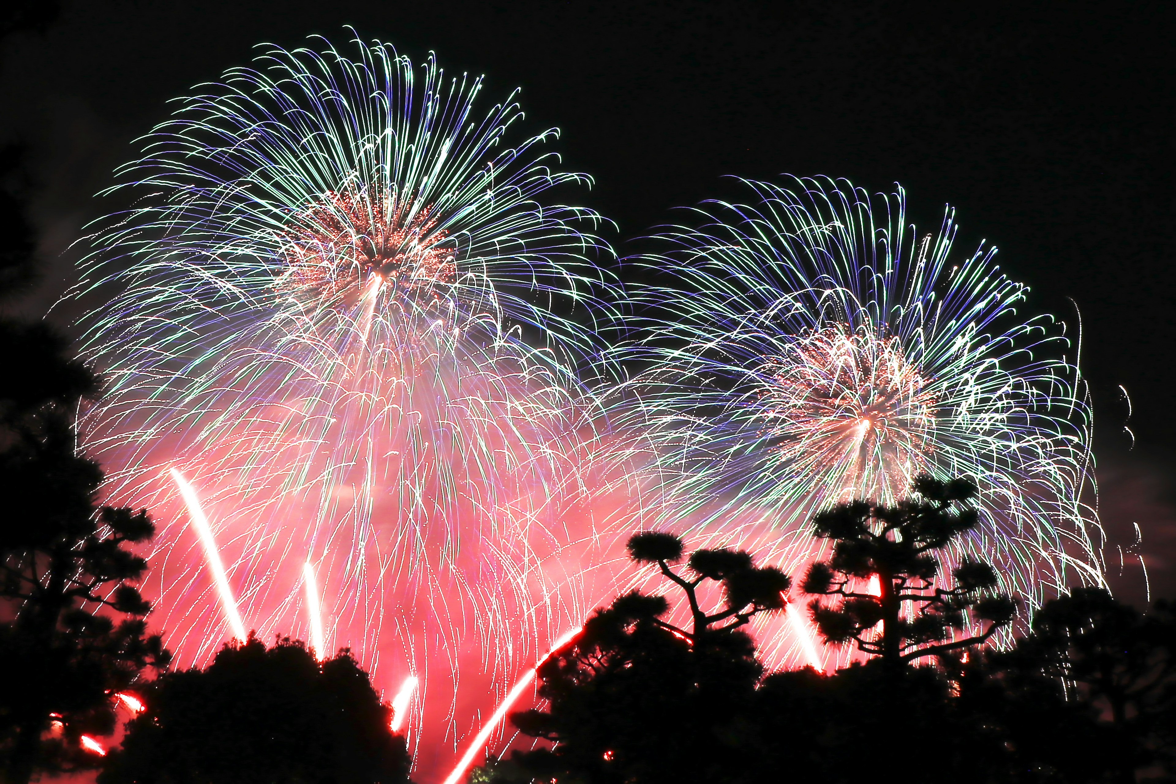 Espectáculo de fuegos artificiales coloridos en el cielo nocturno