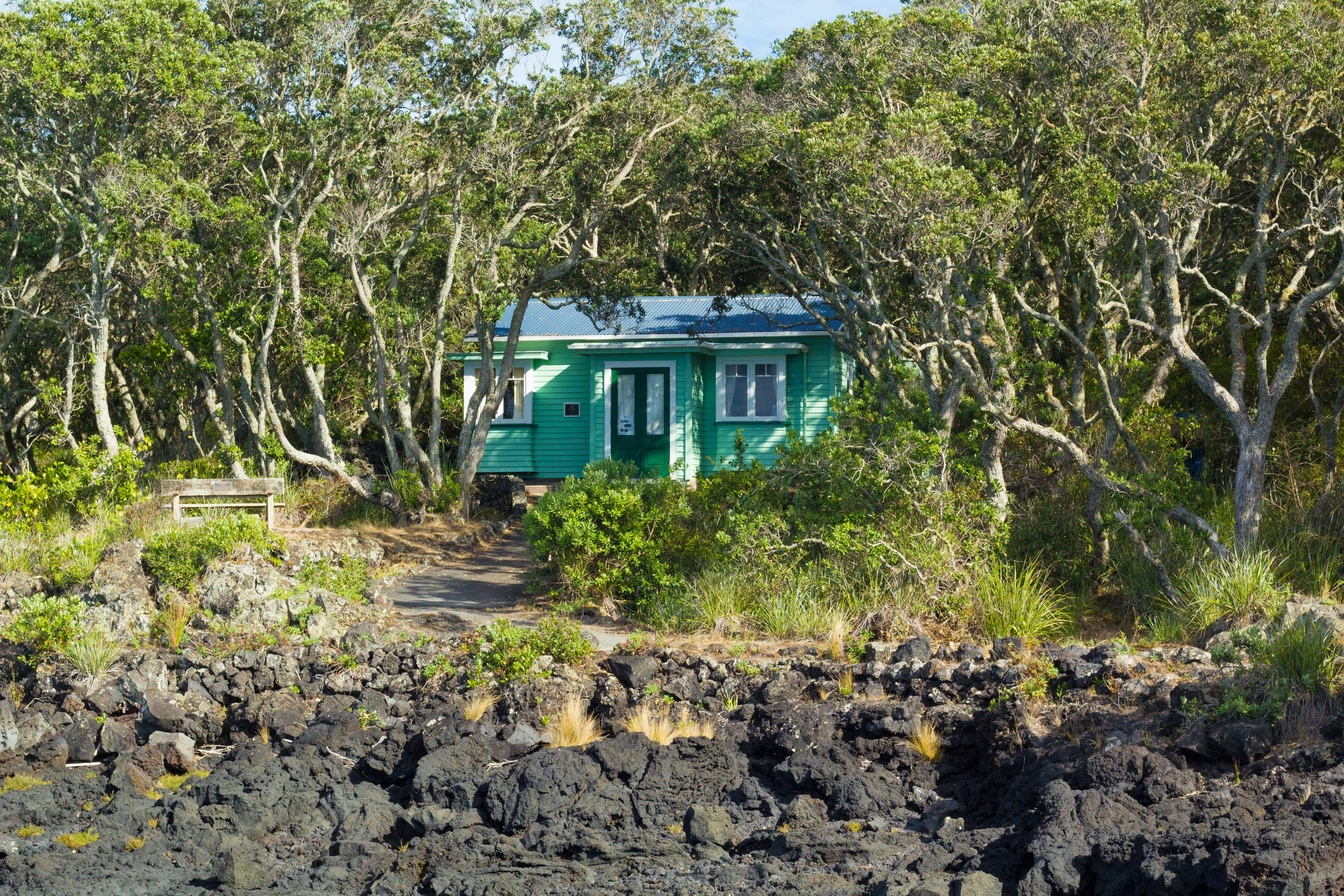 Una cabina verde circondata da alberi vicino alla costa