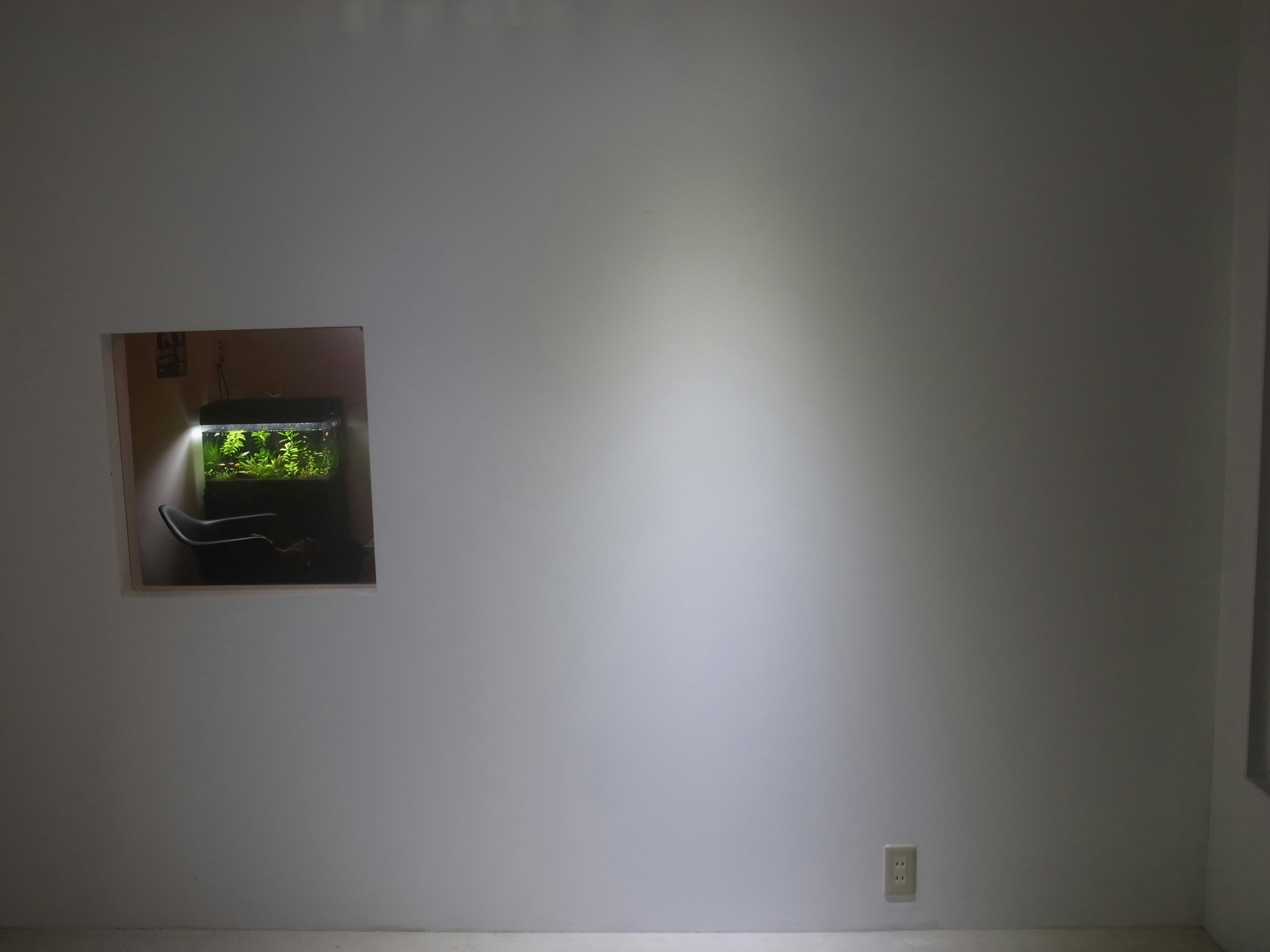 A small window in a white wall revealing greenery inside