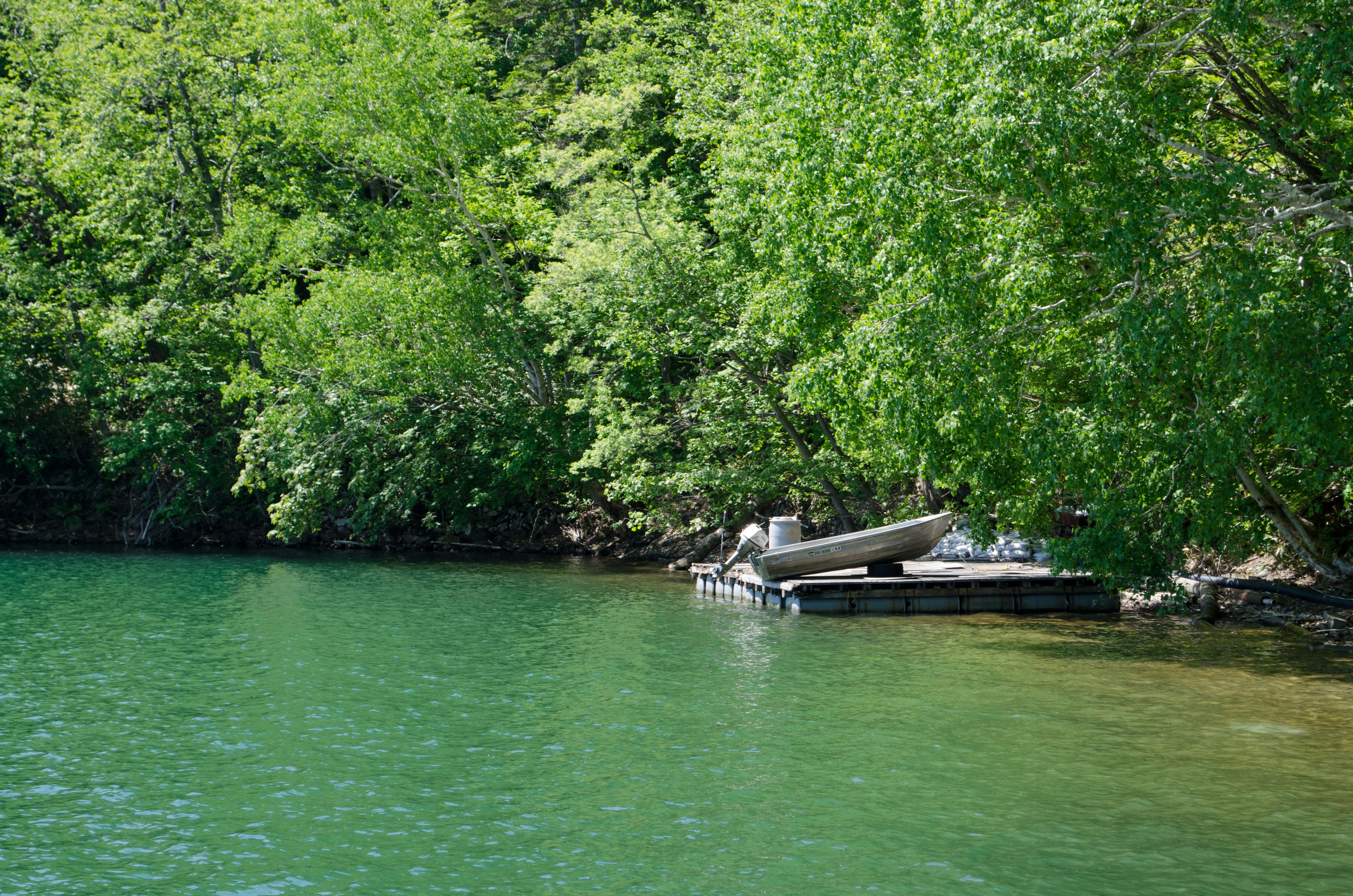 A tranquil waterside scene with a boat surrounded by lush green trees