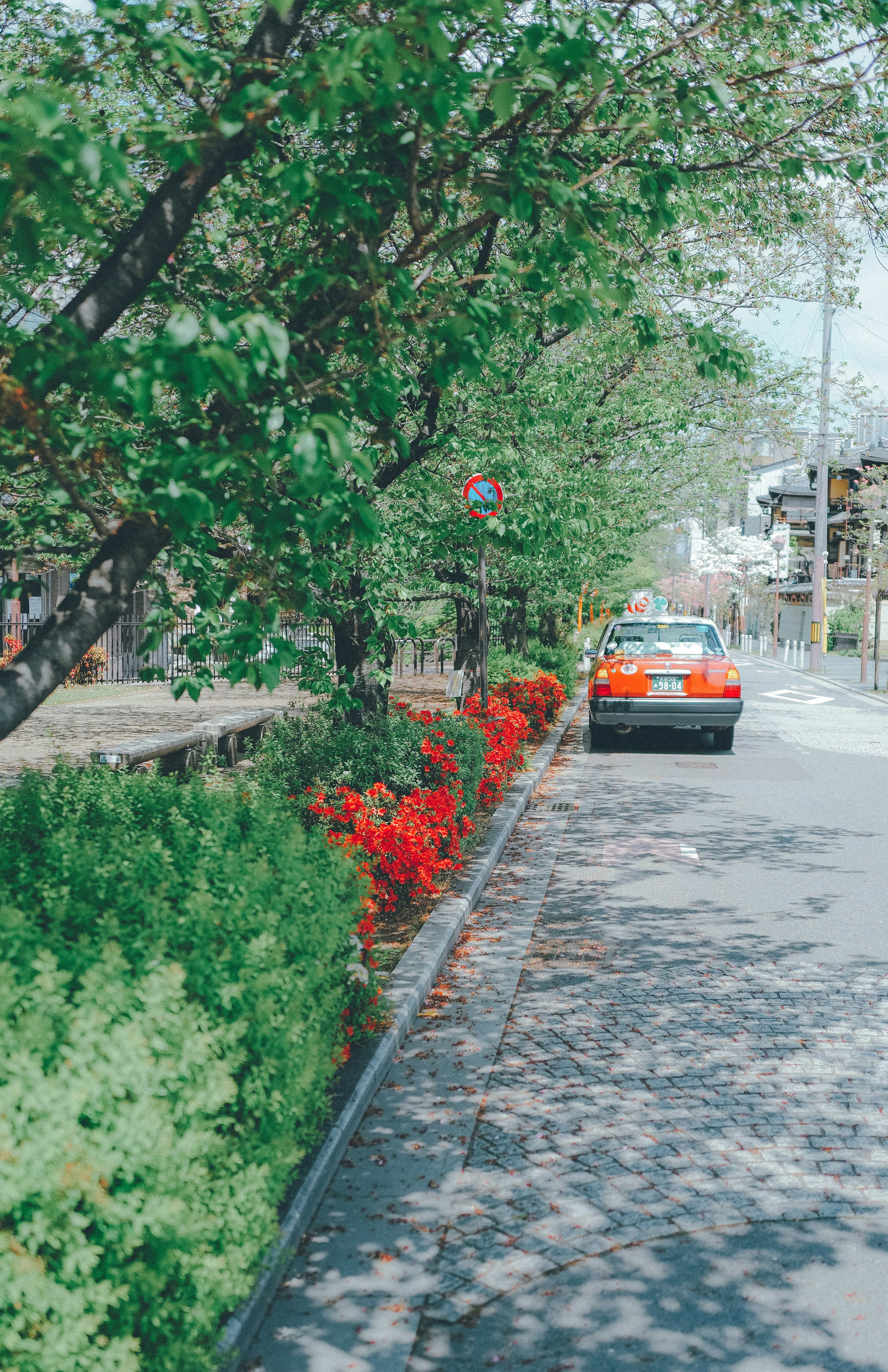 Ein Auto parkt auf einer Straße, die von grünen Bäumen und roten Blumen gesäumt ist