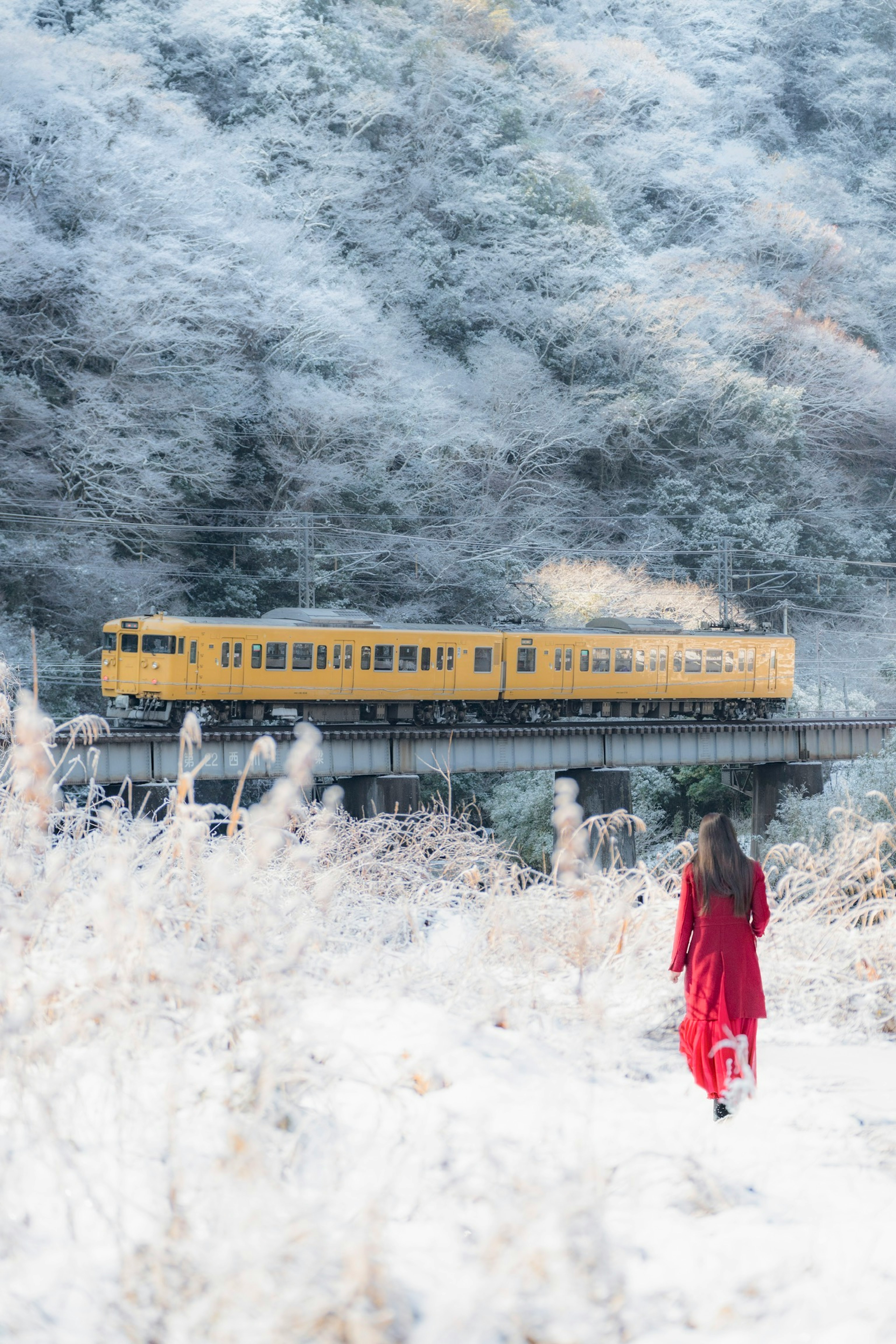 Una mujer con un vestido rojo caminando por un paisaje nevado con un tren amarillo al fondo