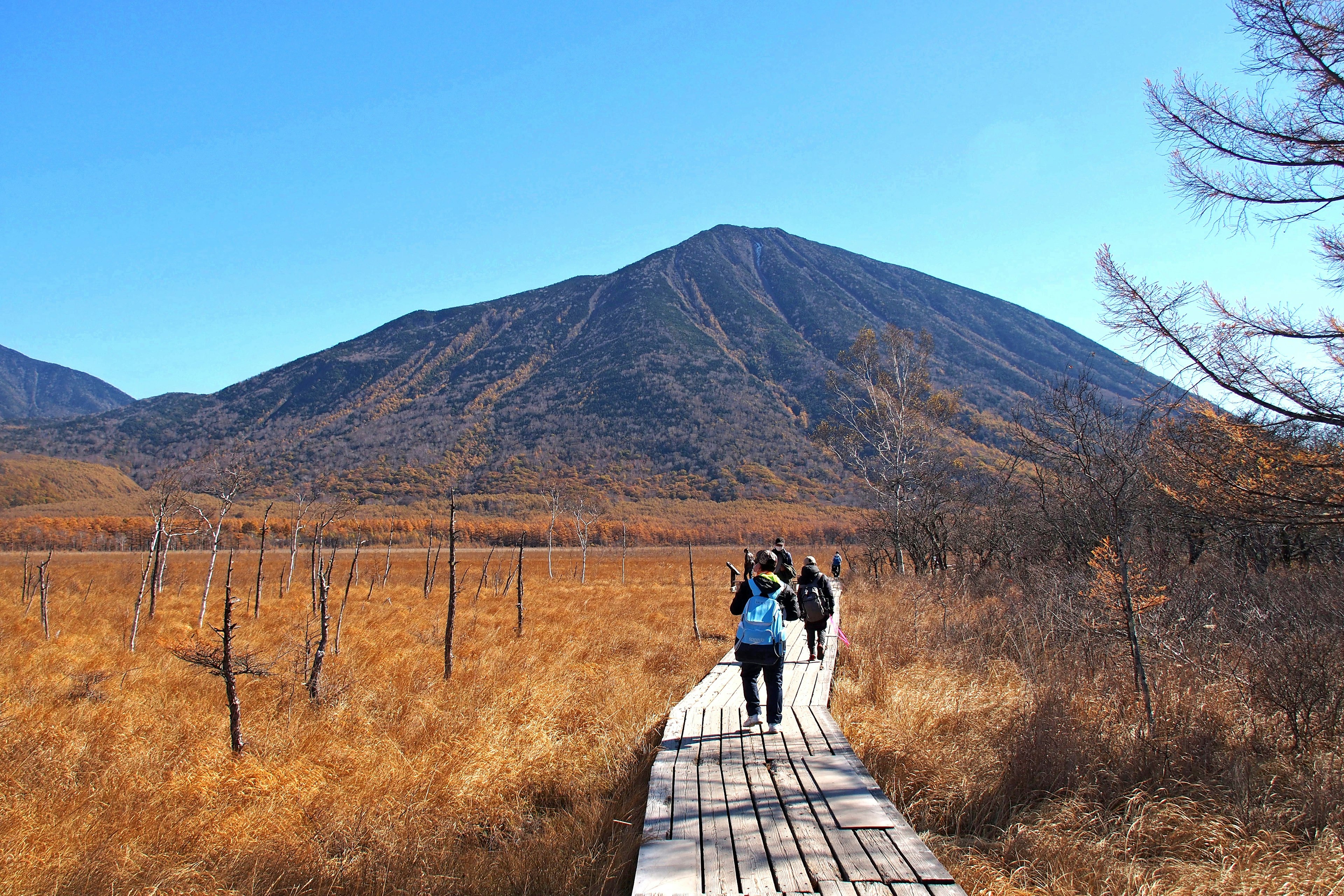 People walking on a wooden path surrounded by autumn foliage and mountains