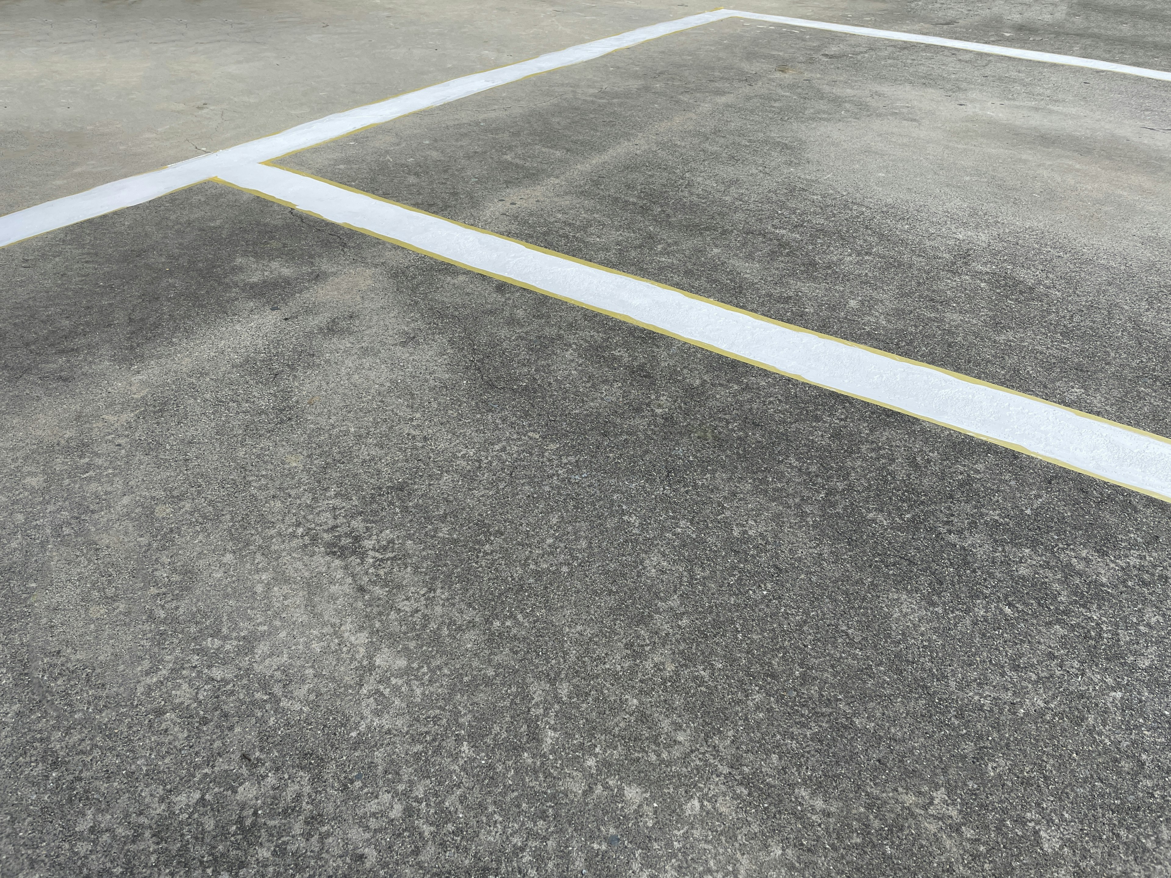 Concrete parking lot with white parking lines