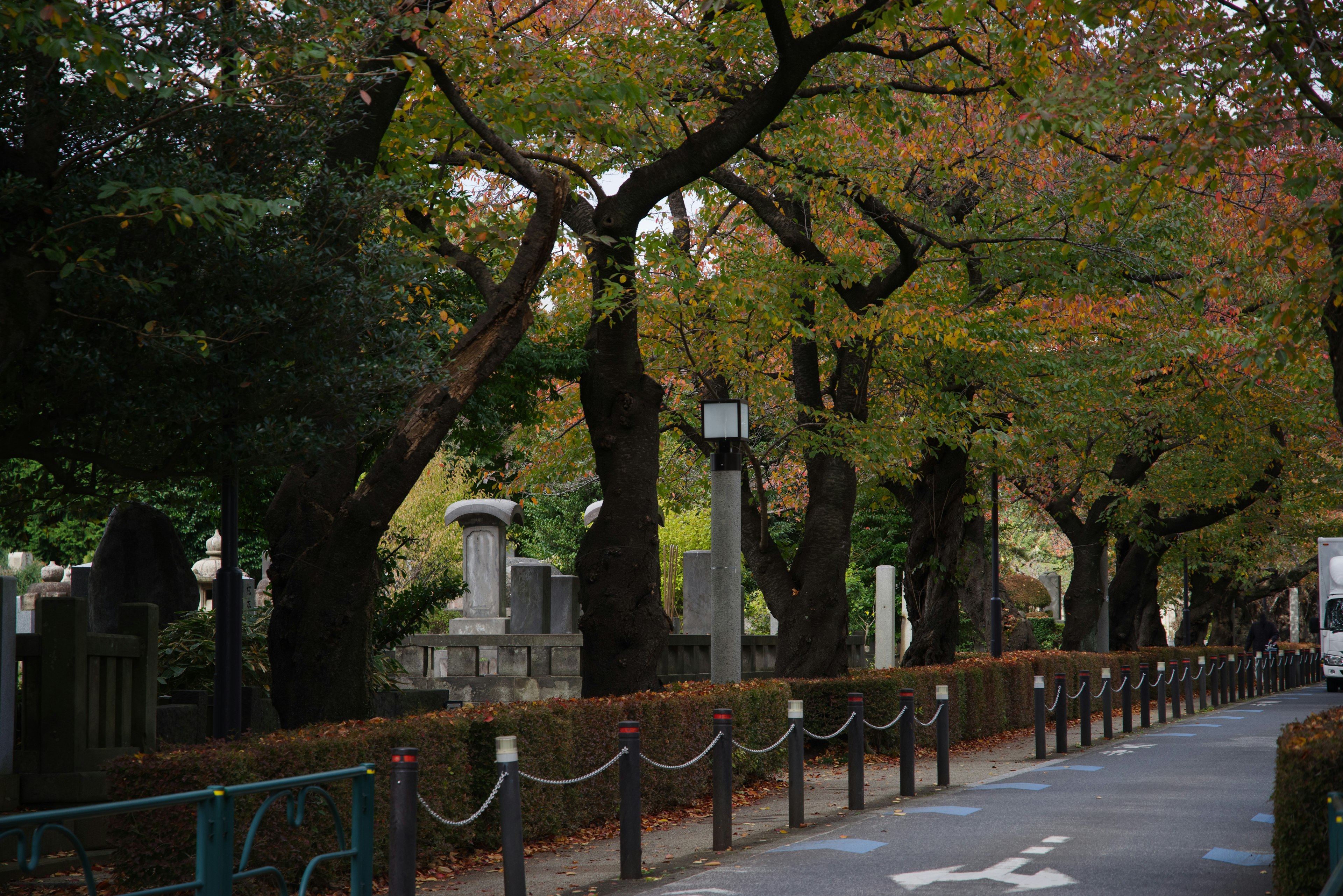 秋の色づいた木々に囲まれた静かな墓地の小道